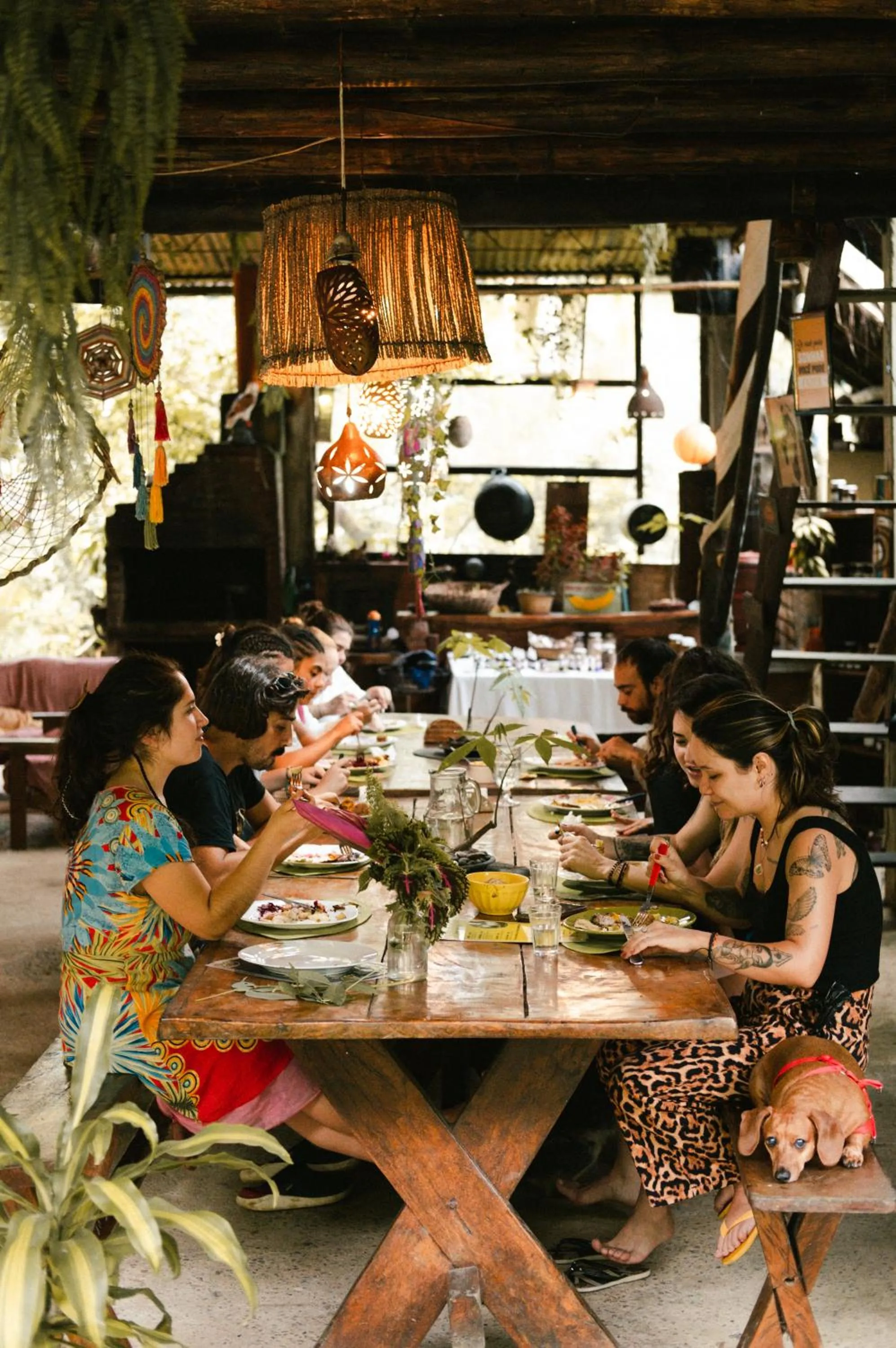 Restaurant/places to eat in Eco Hostel Organic Life