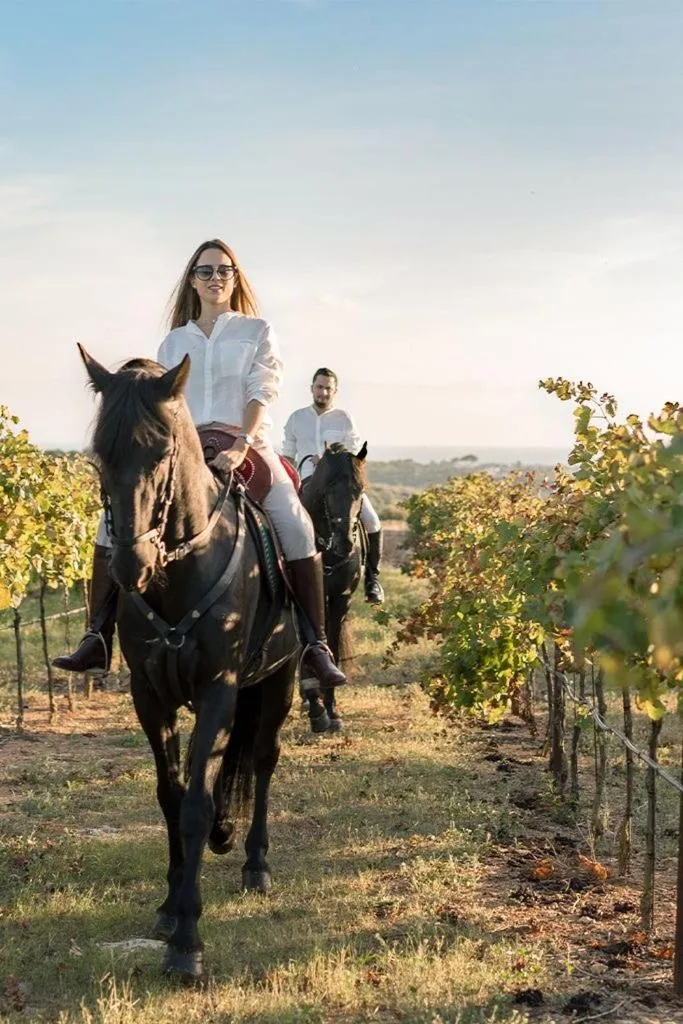 Activities in Hotel Raimblanc