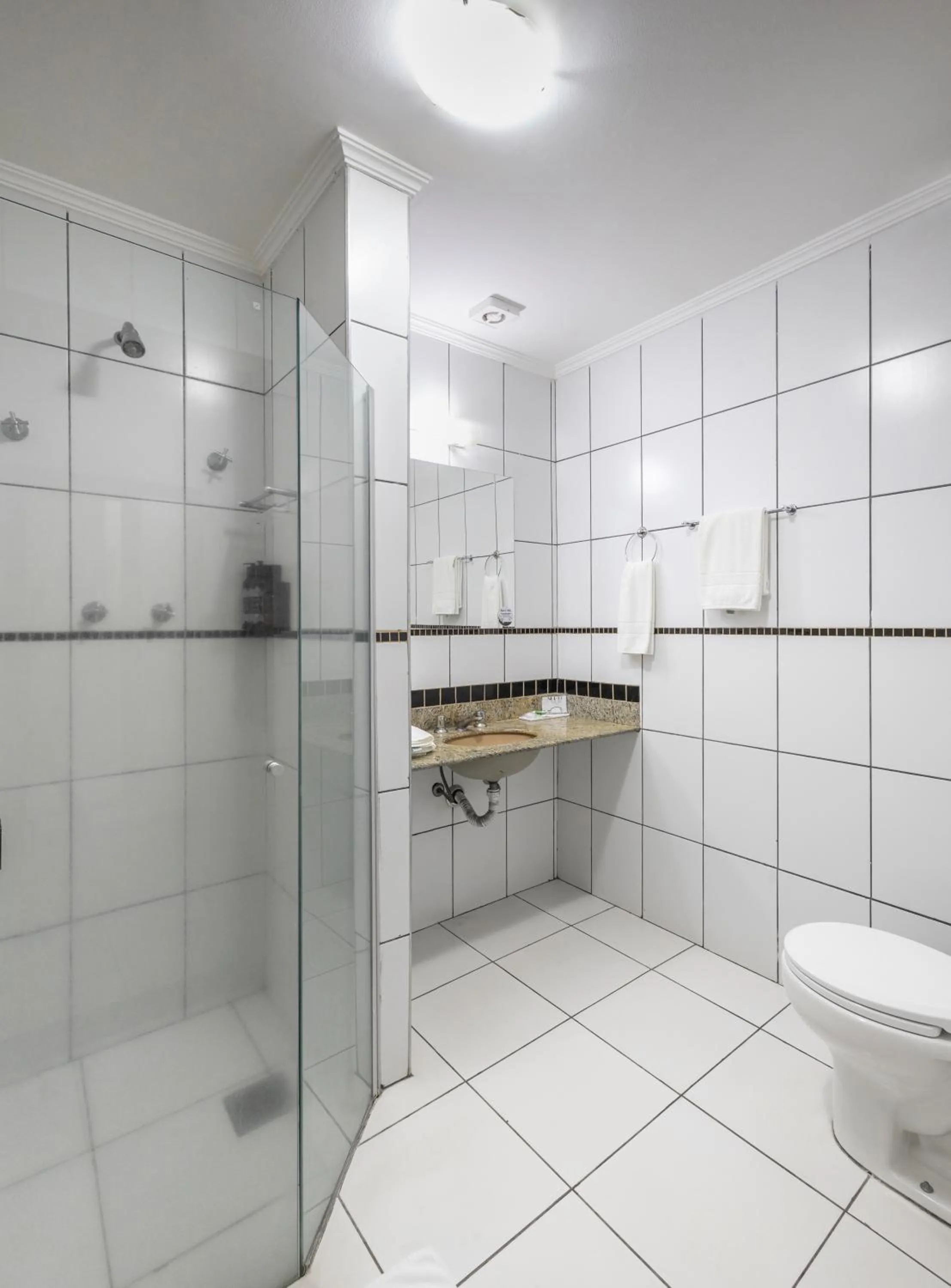 Bathroom in Bristol Exceler Campo Grande