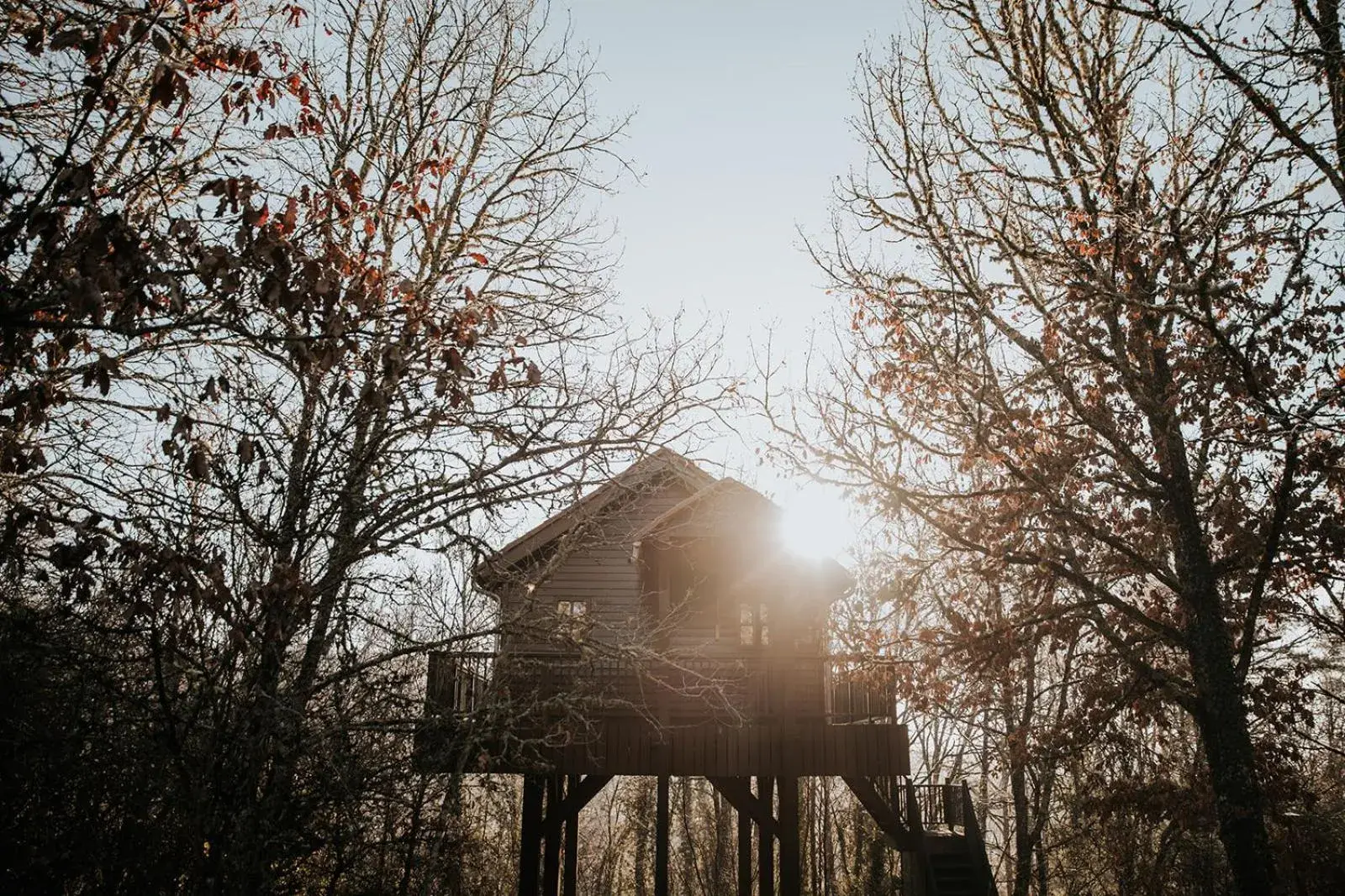 Cabane Rouge-Gorge Cabane Rouge-Gorge
