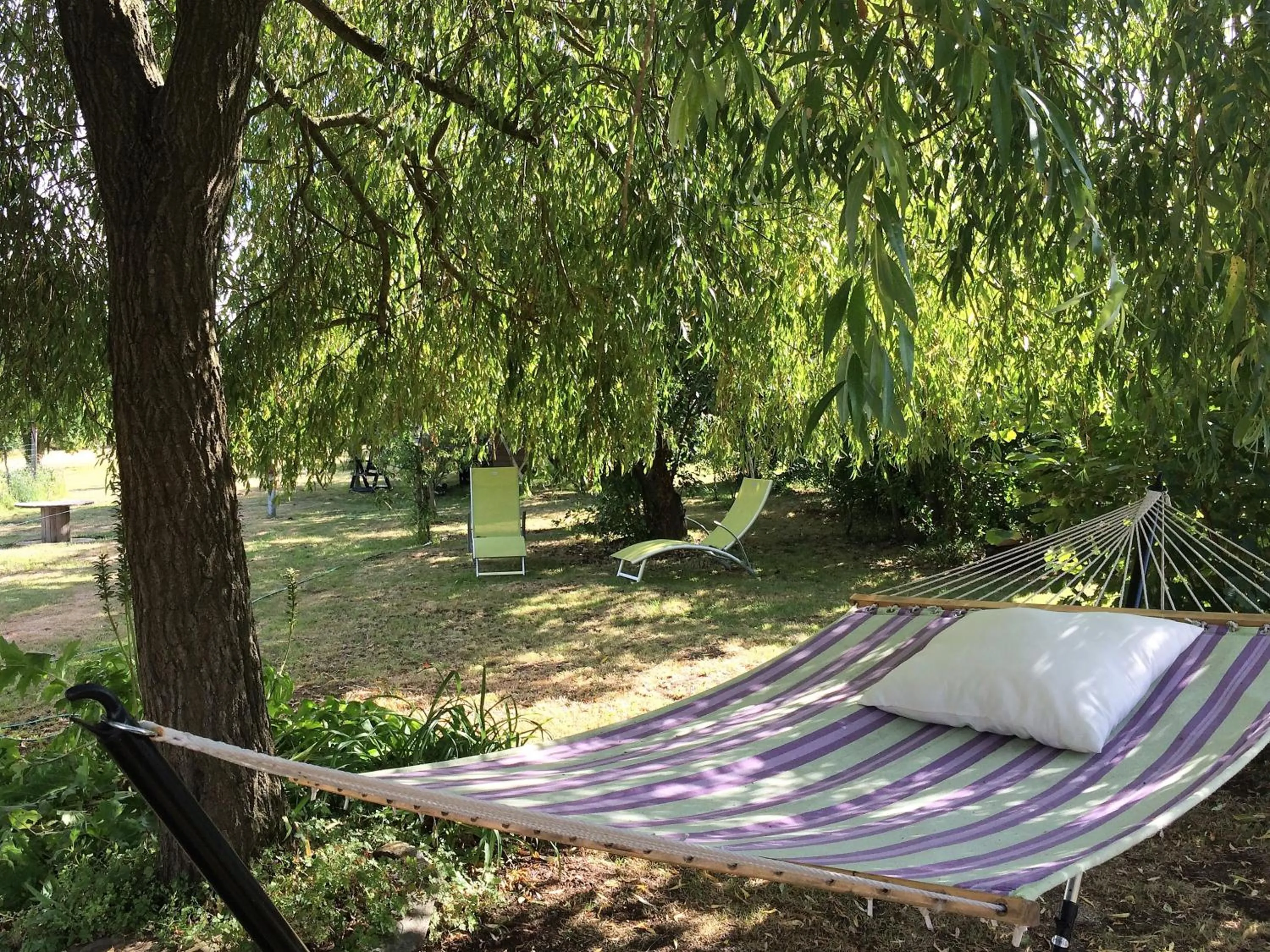 Garden in Chambres d'hôtes de La Roche