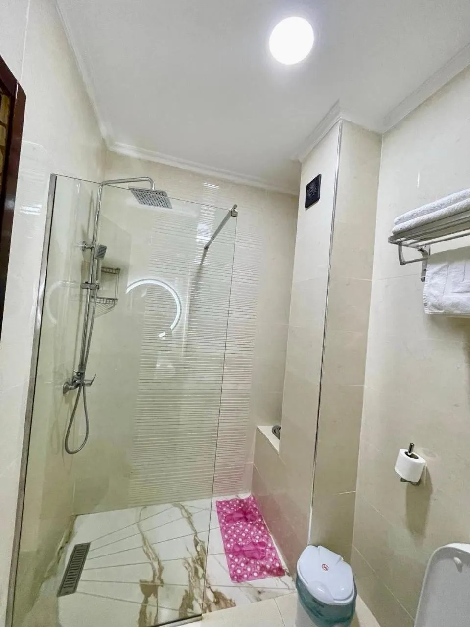 Shower in Appart Hotel Rania