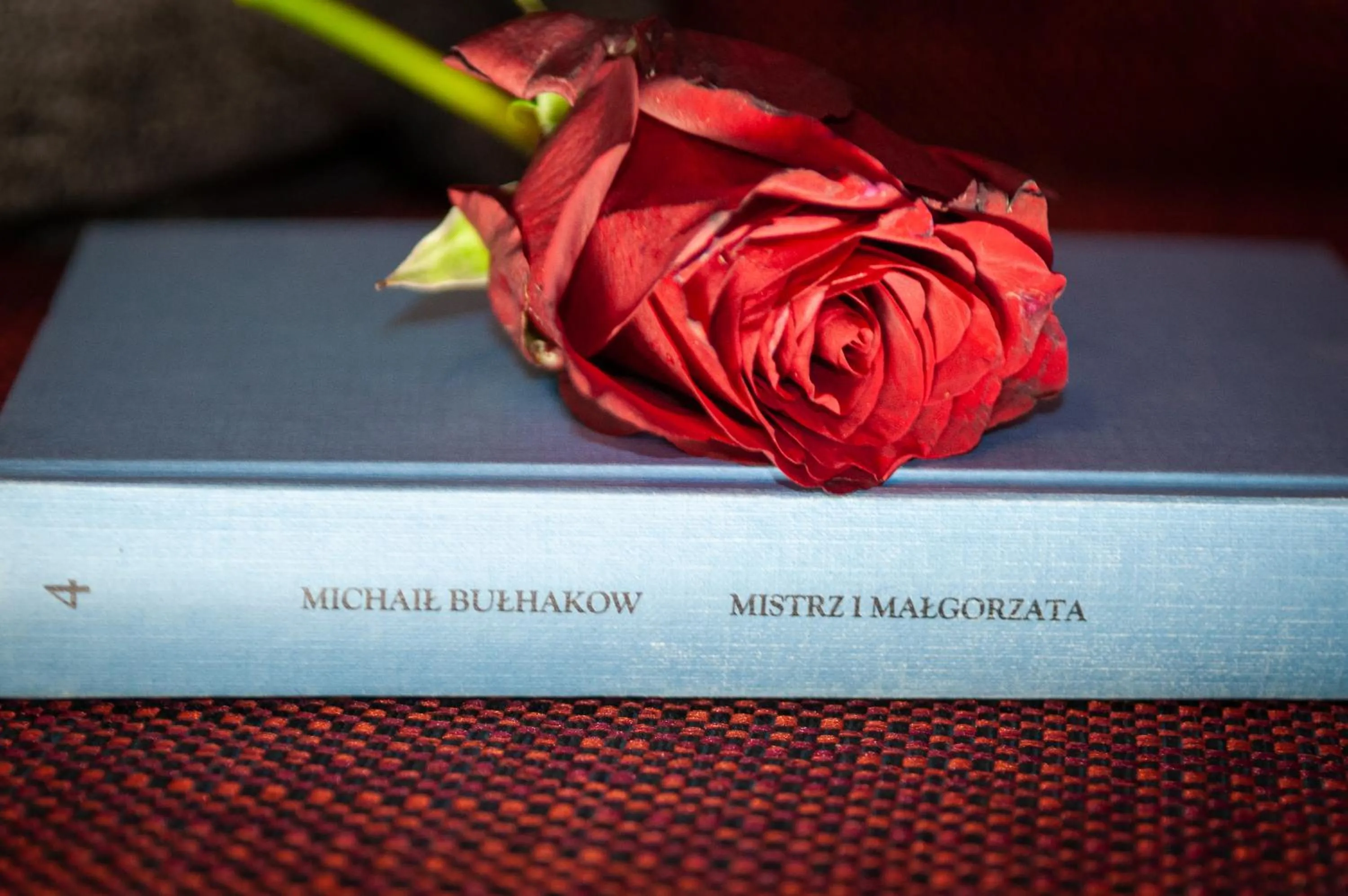 Property logo or sign in Apartamenty Siedem Komnat Siedmiu Mistrzów