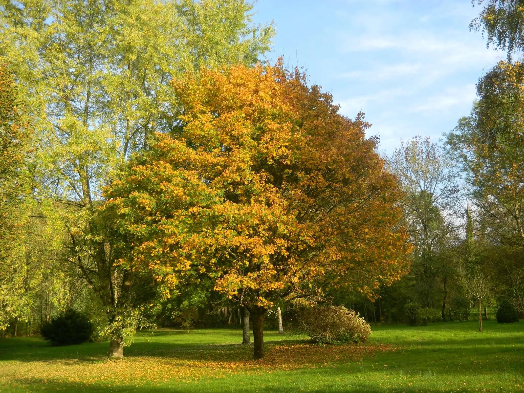 Garden view in Le Grand Pré