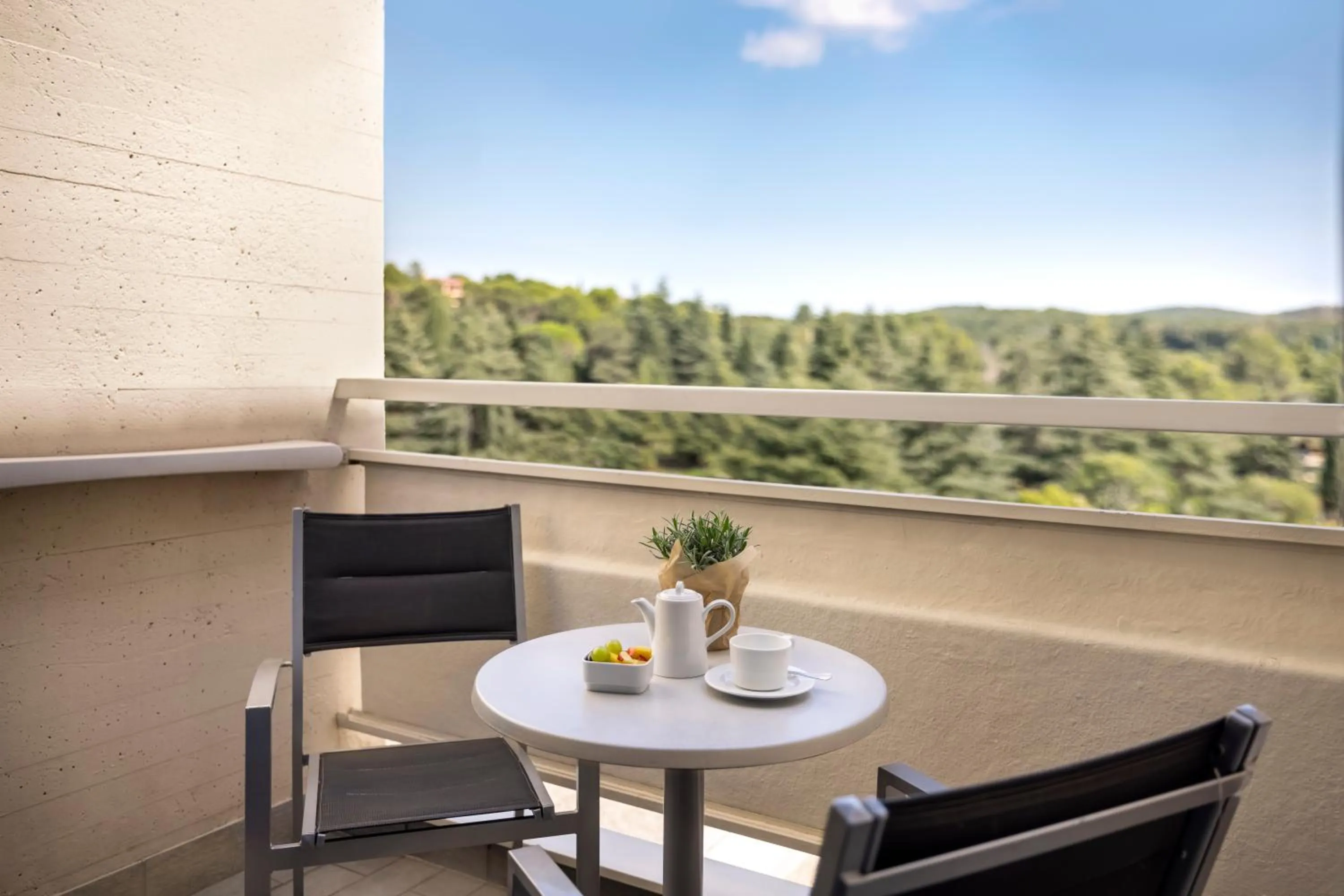 View (from property/room) in Valamar Diamant Hotel