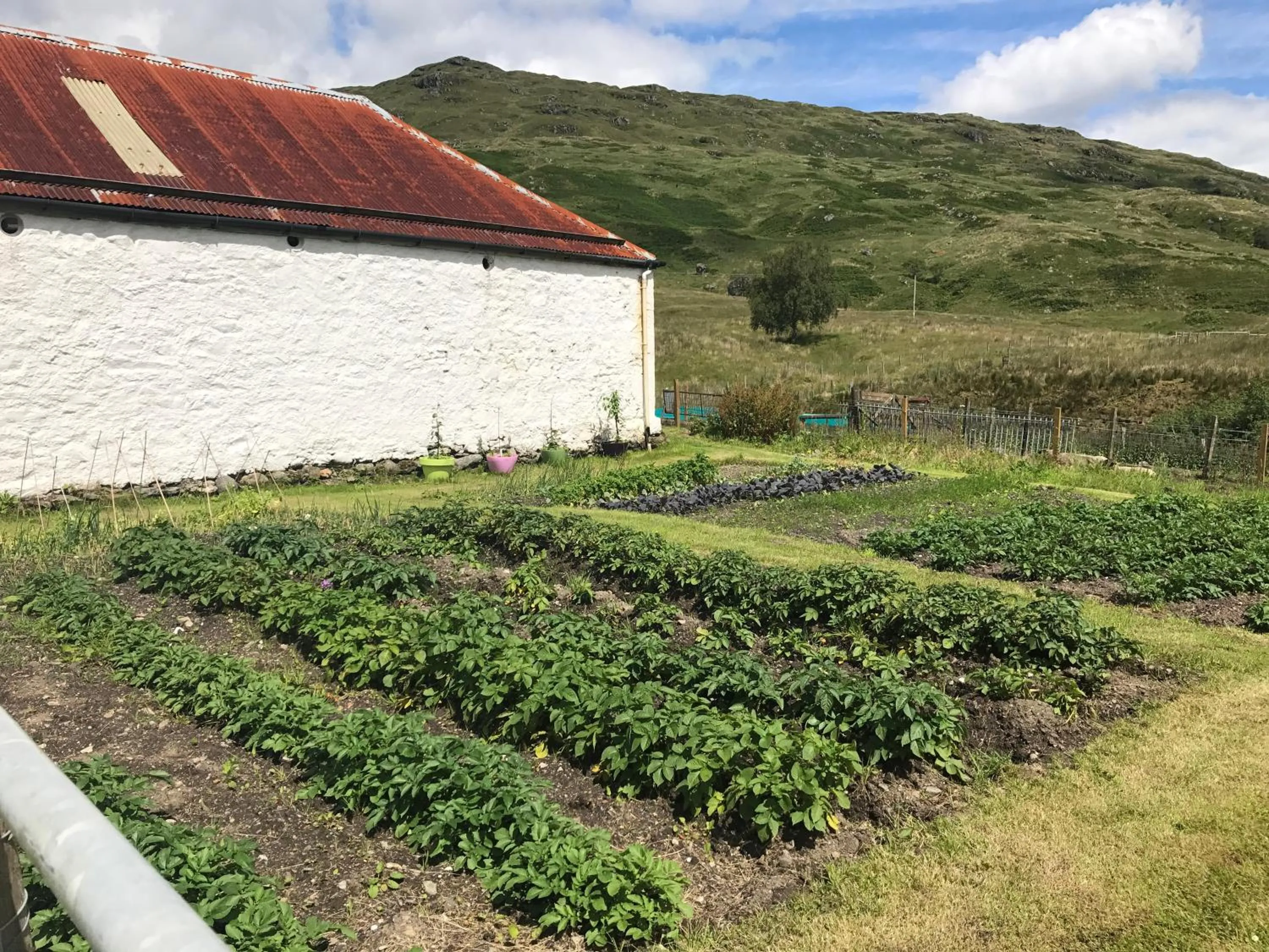 Food close-up in Garrison Farm with Hot Tub