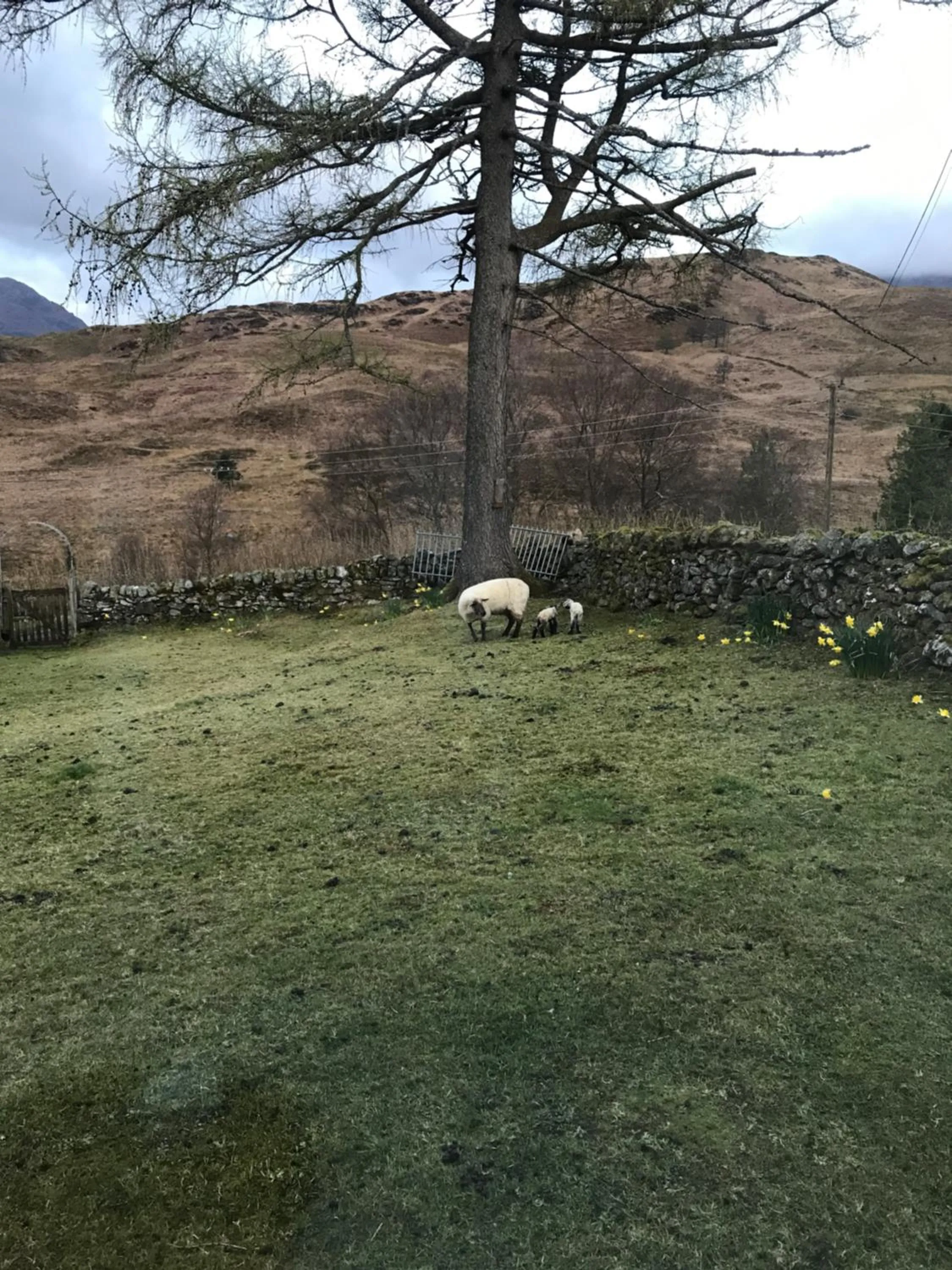 Garden view in Garrison Farm with Hot Tub