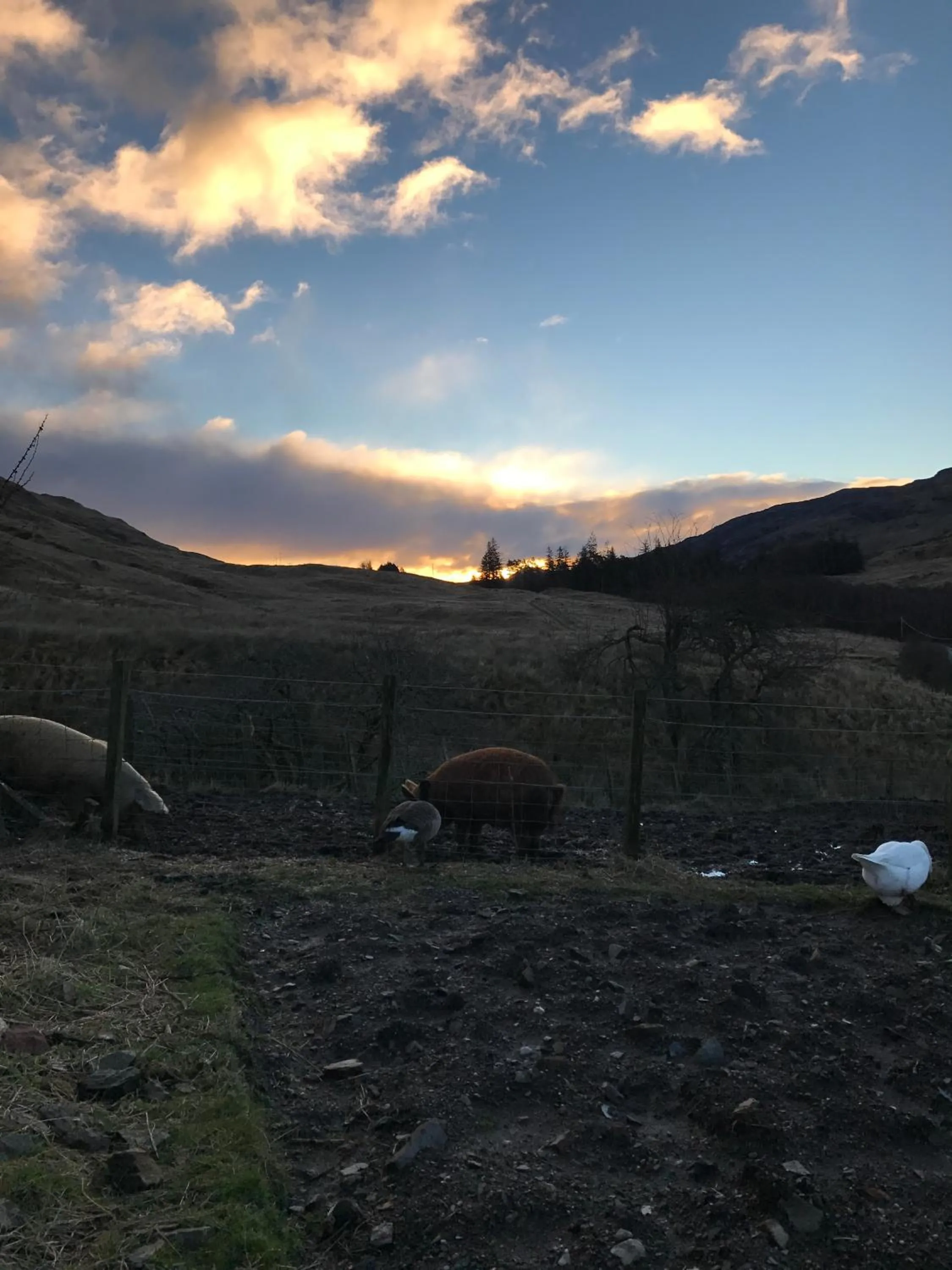 Pets in Garrison Farm with Hot Tub