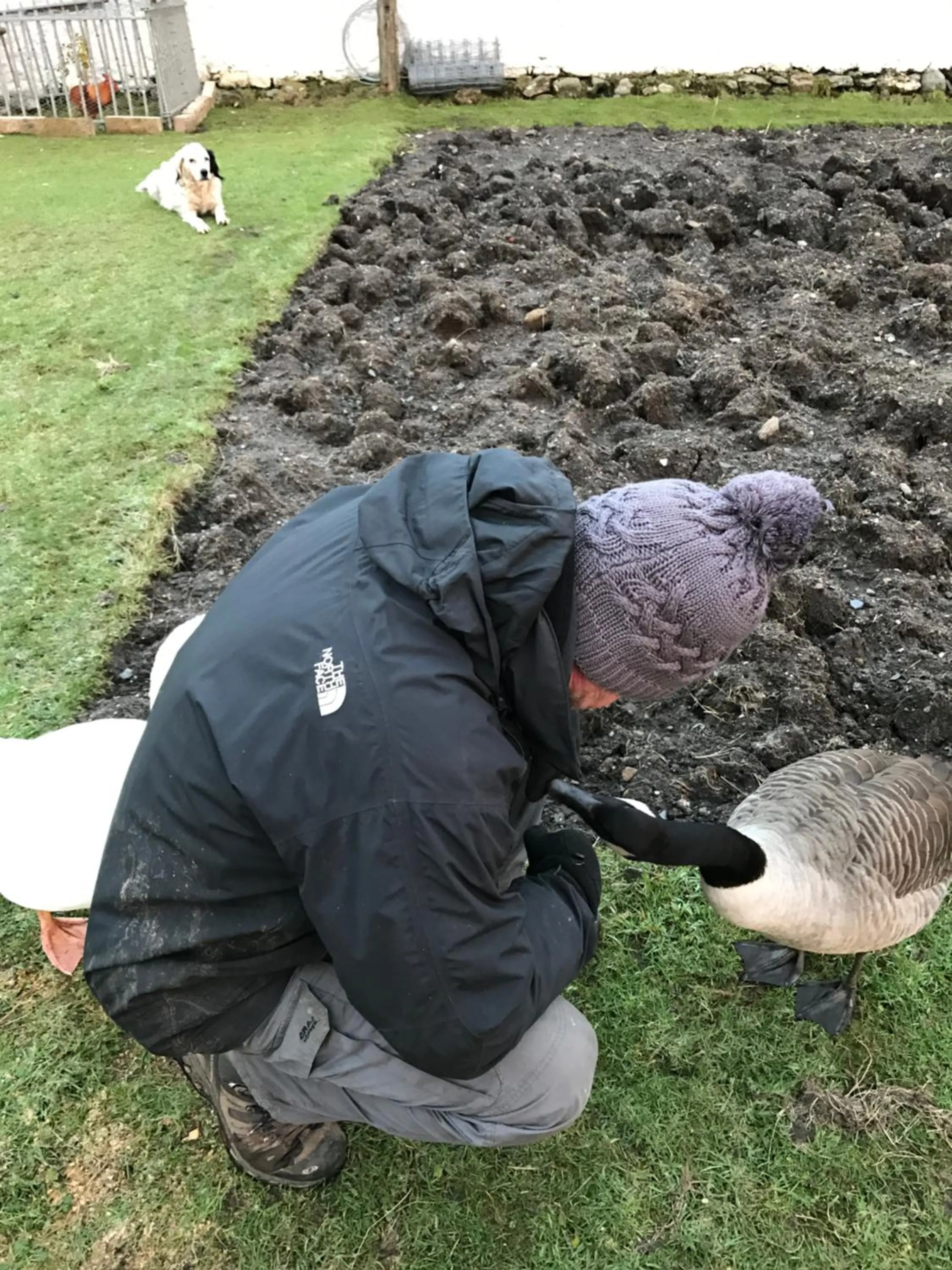 Family in Garrison Farm with Hot Tub