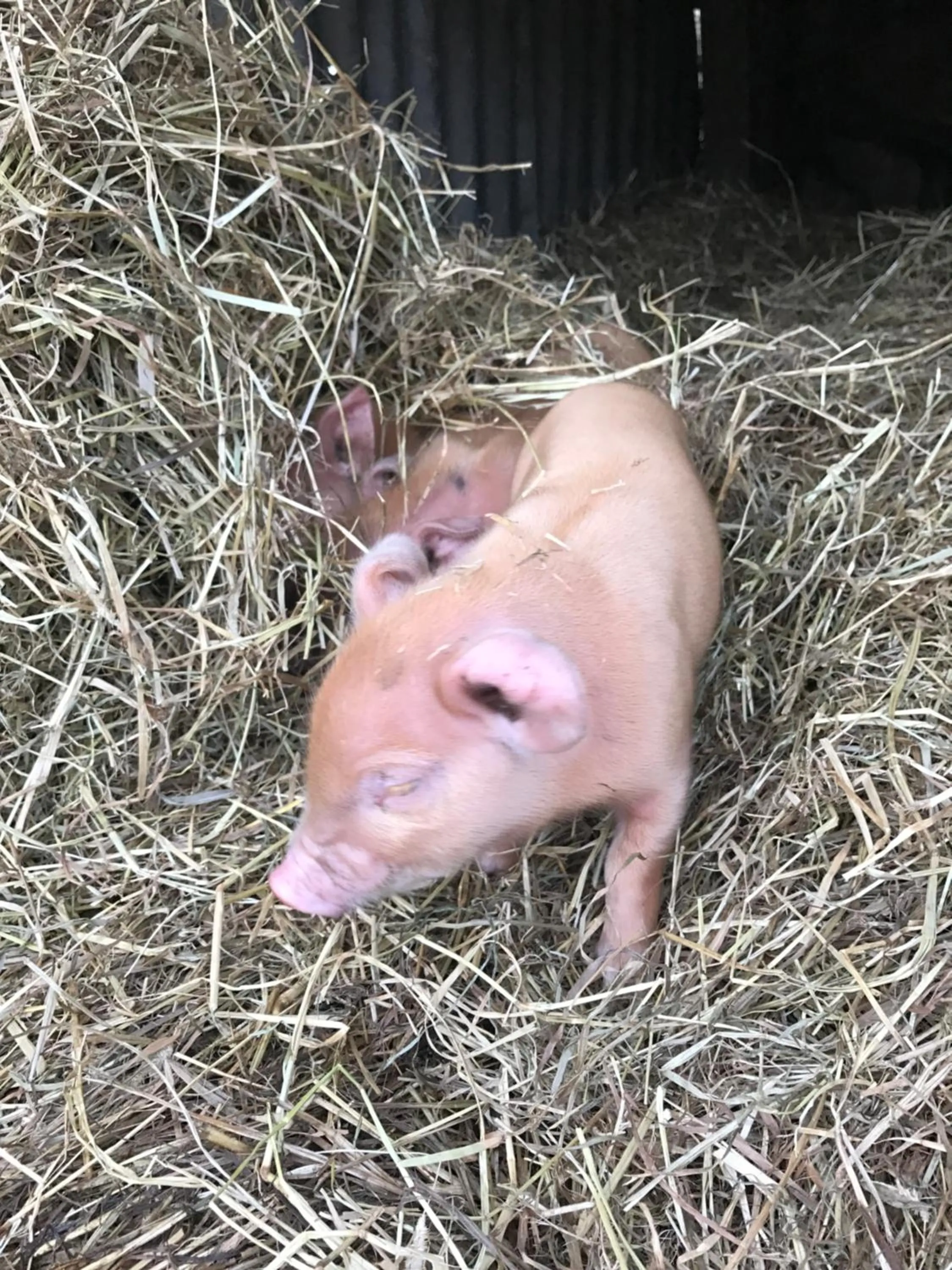Garrison Farm with Hot Tub