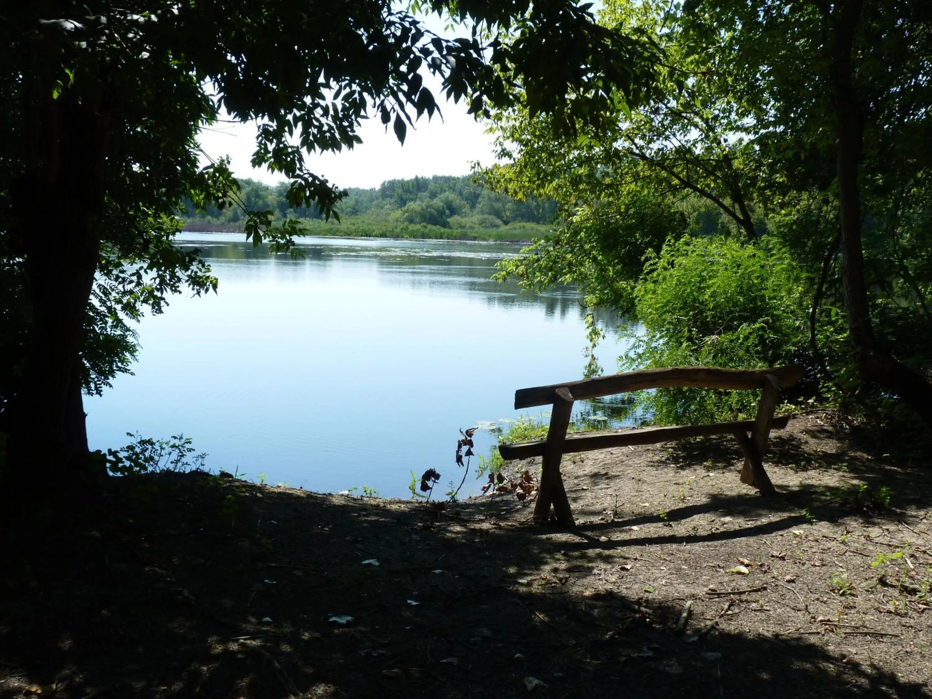 Natural landscape in Hableány Hotel