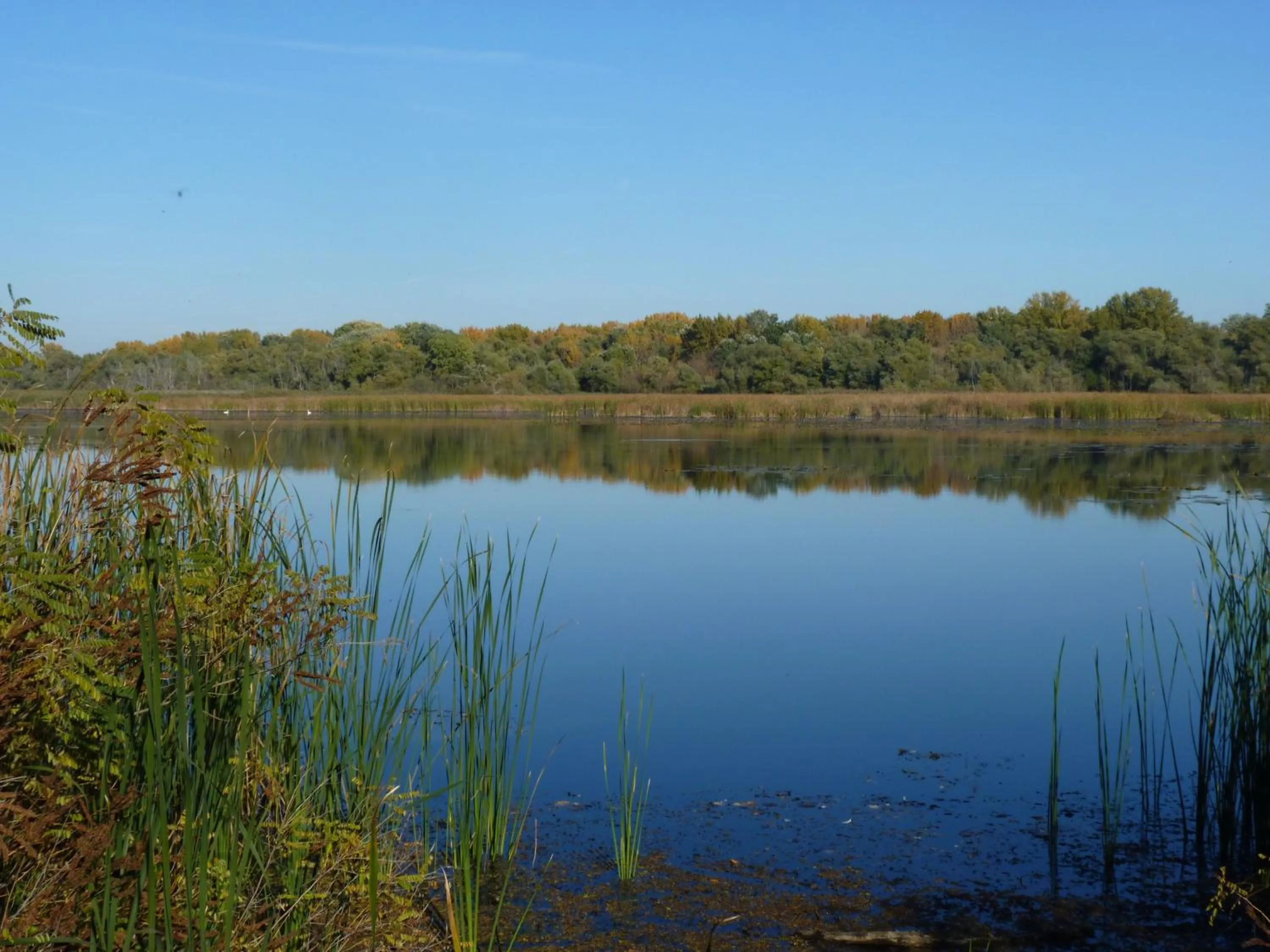 Natural landscape in Hableány Hotel