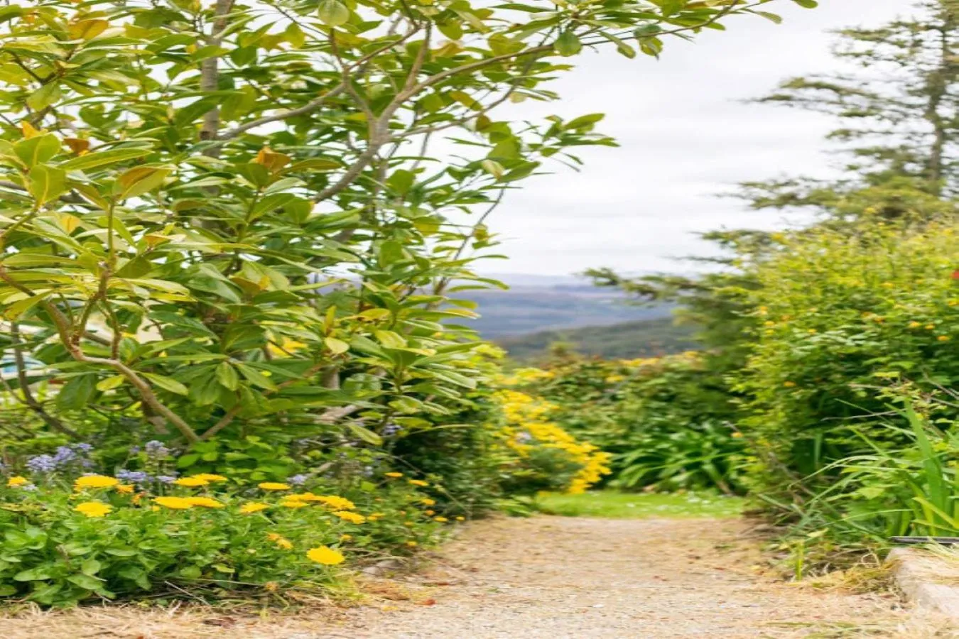 Garden in 3 Hills at The Good Place