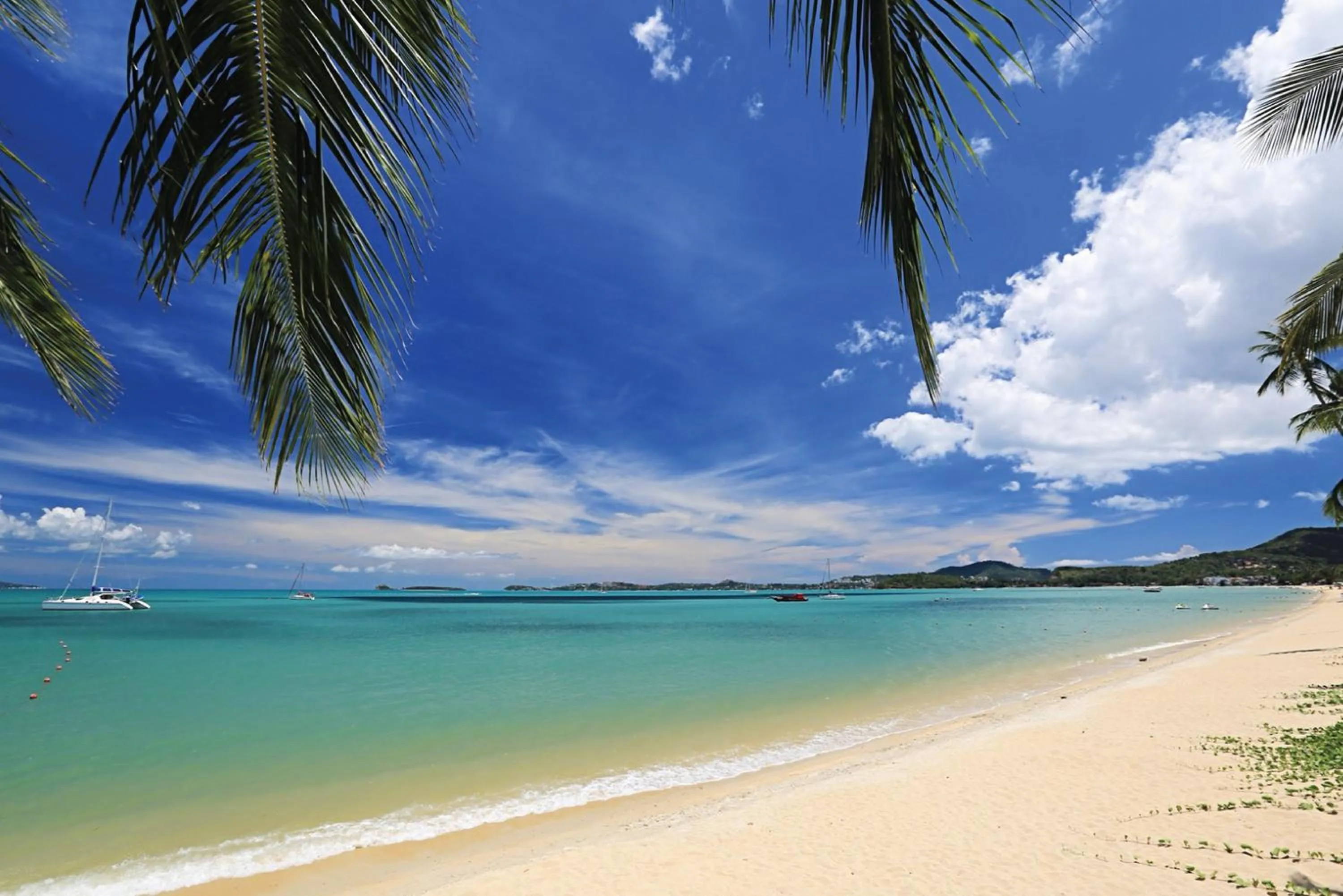 Beach in Celes Samui