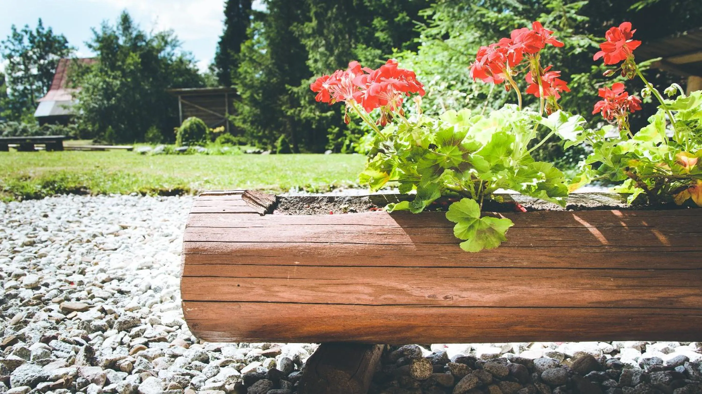 Activities in Willa Lichajówka