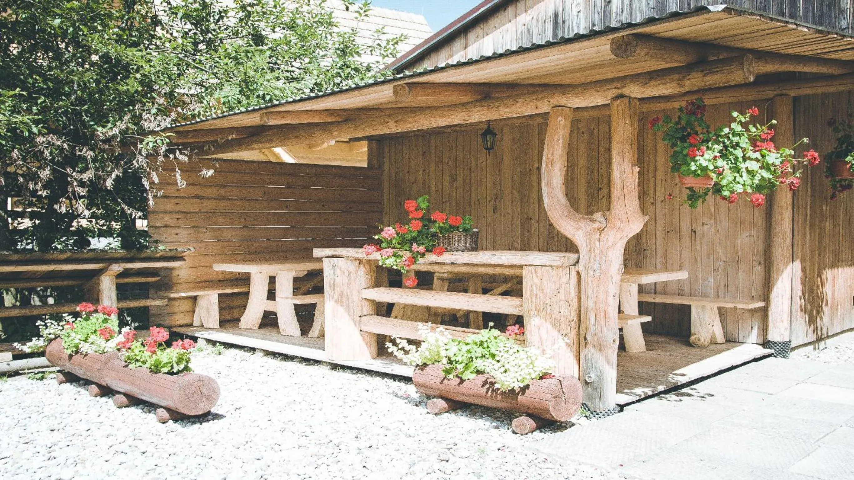 Activities in Willa Lichajówka