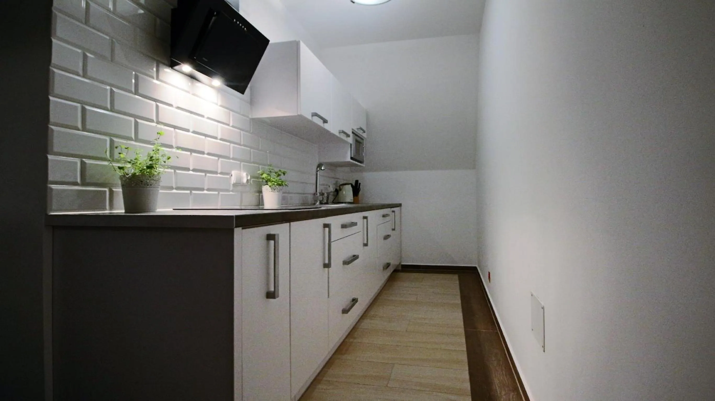 Kitchen or kitchenette in Willa Lichajówka