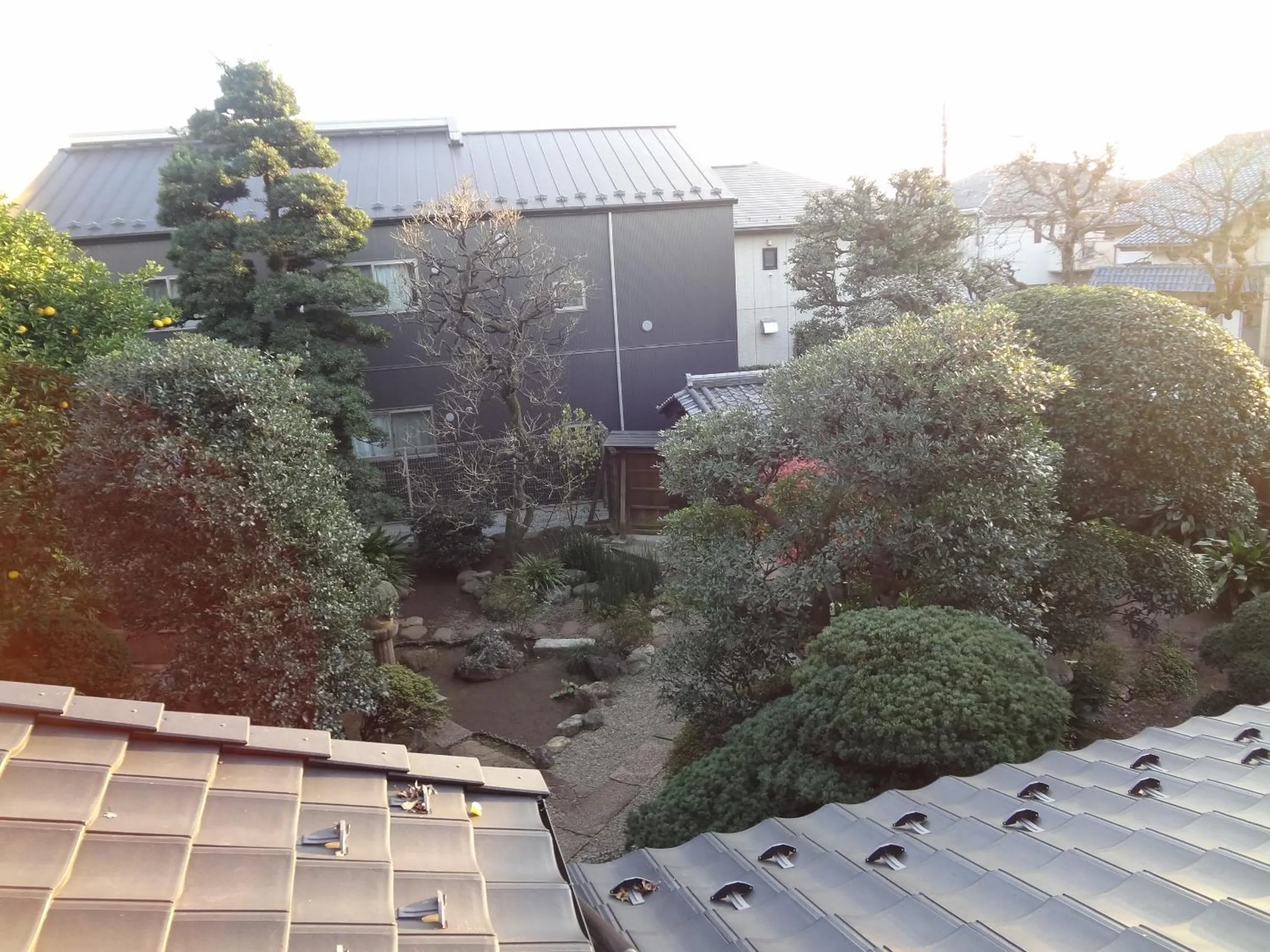 Garden view in Mokkoan