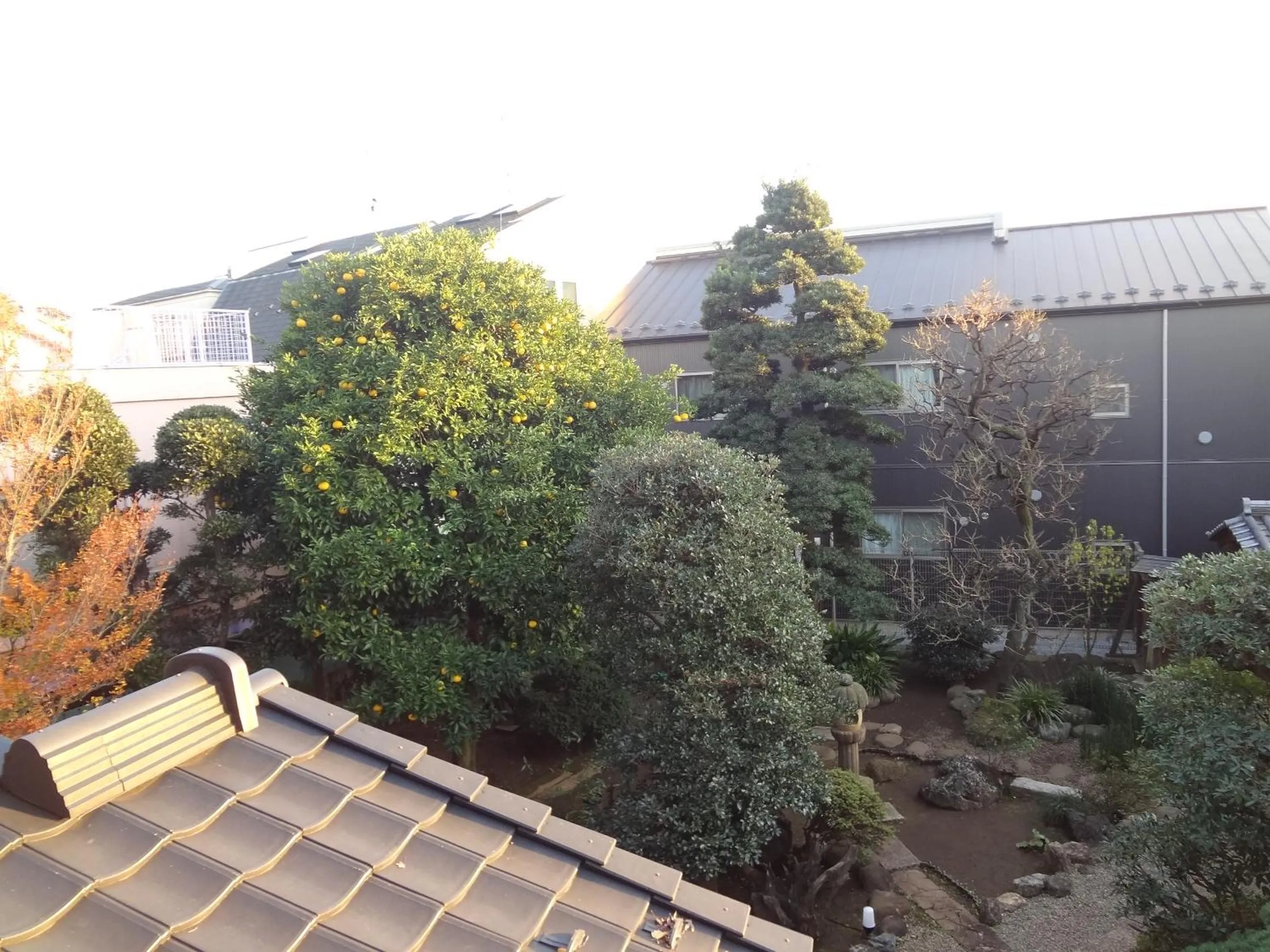 Garden view in Mokkoan