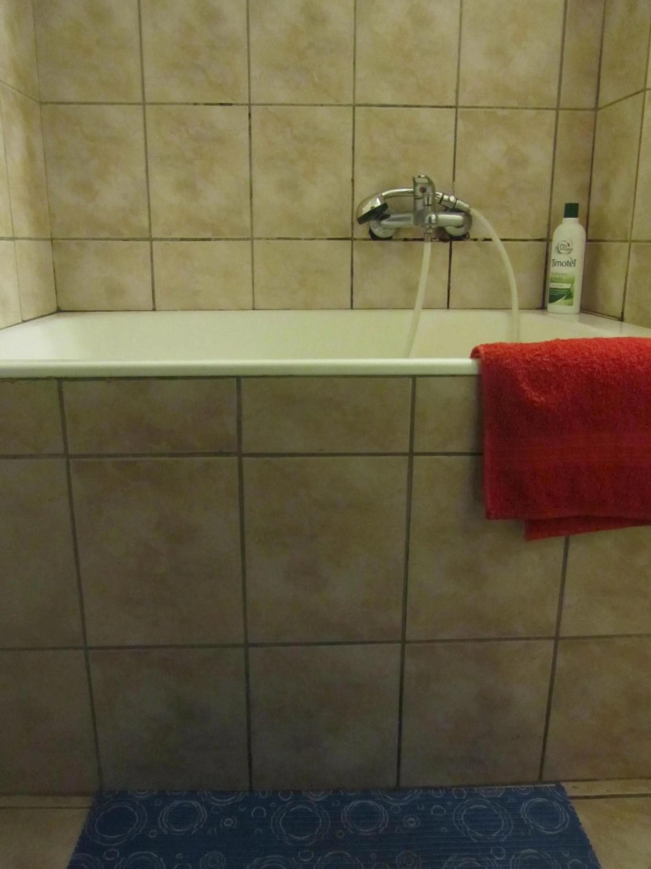 Bathroom in Economy Studio Apartments