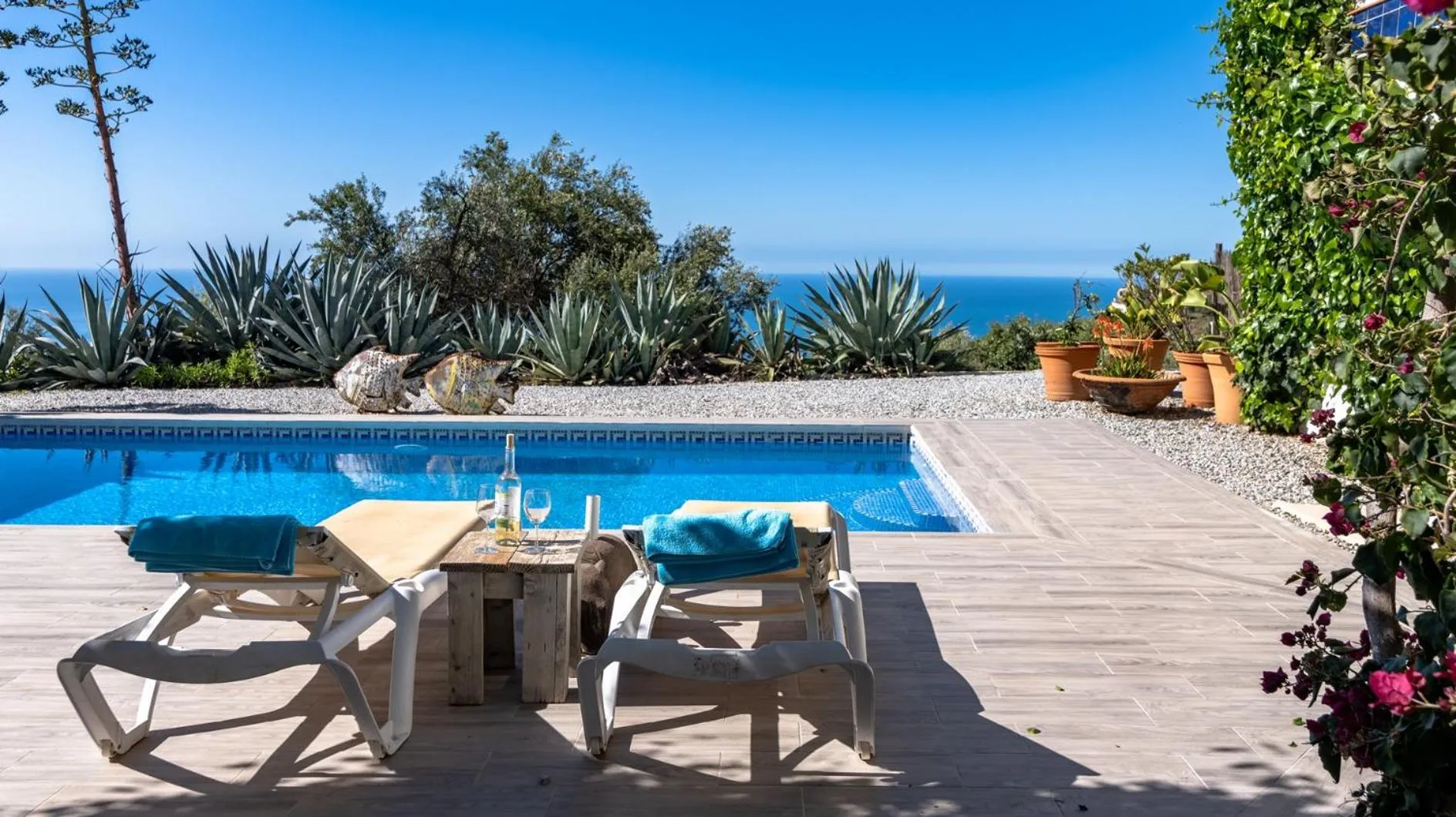 Pool view in Campo Agave Luxury Tents