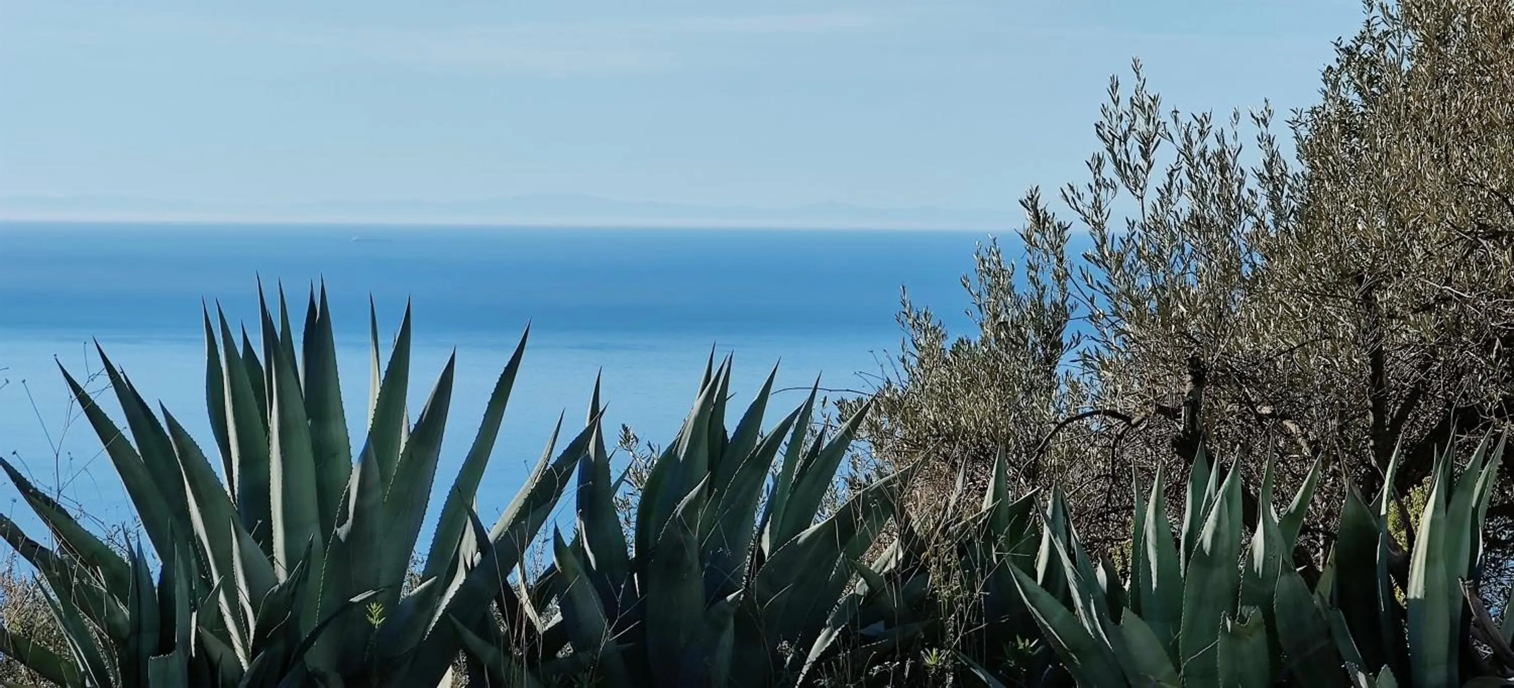 Sea view in Campo Agave Luxury Tents