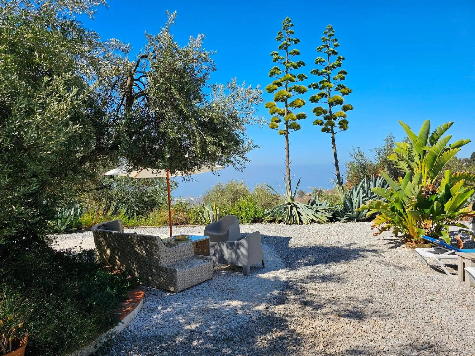Garden in Campo Agave Luxury Tents