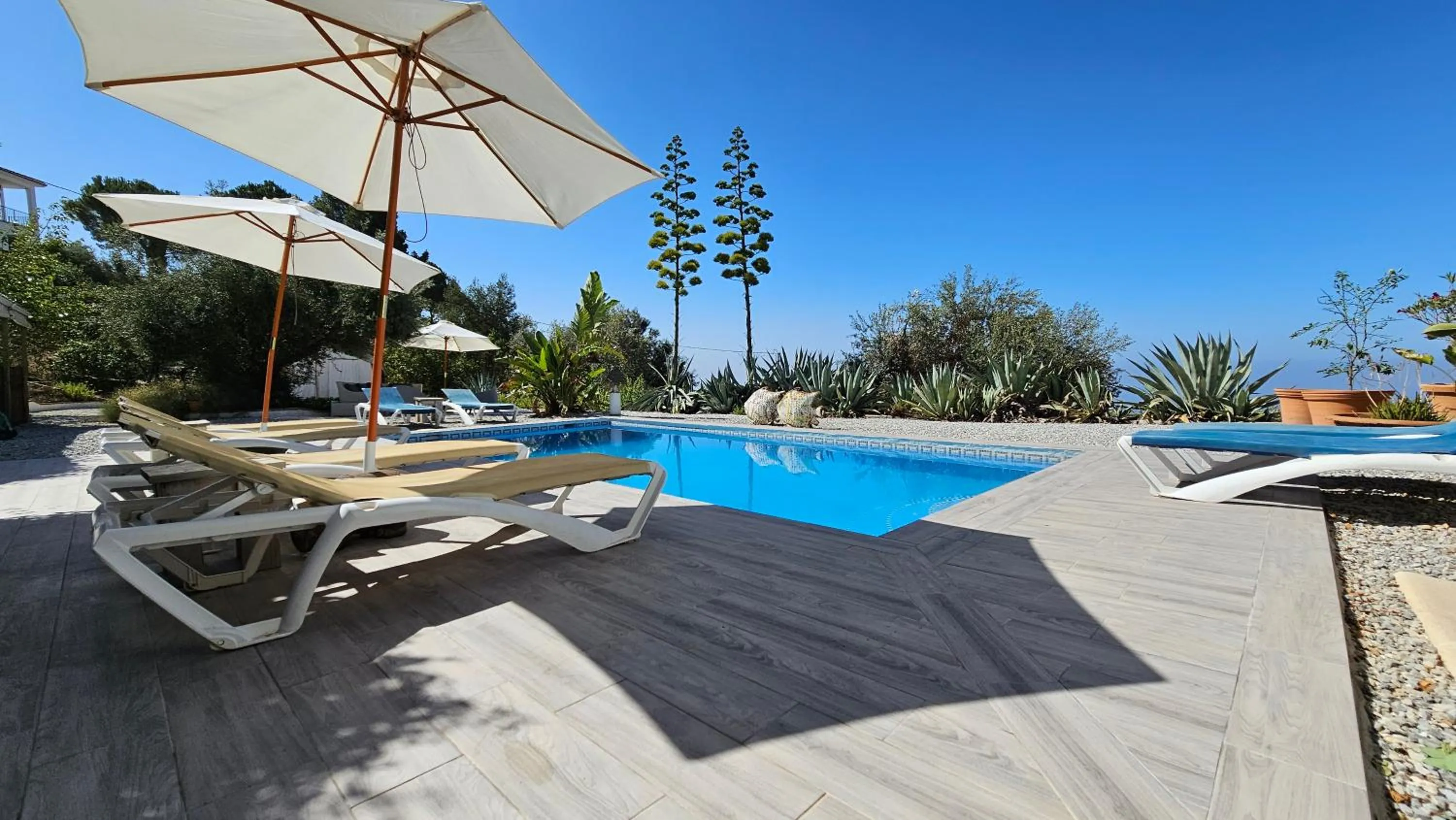 Swimming pool in Campo Agave Luxury Tents