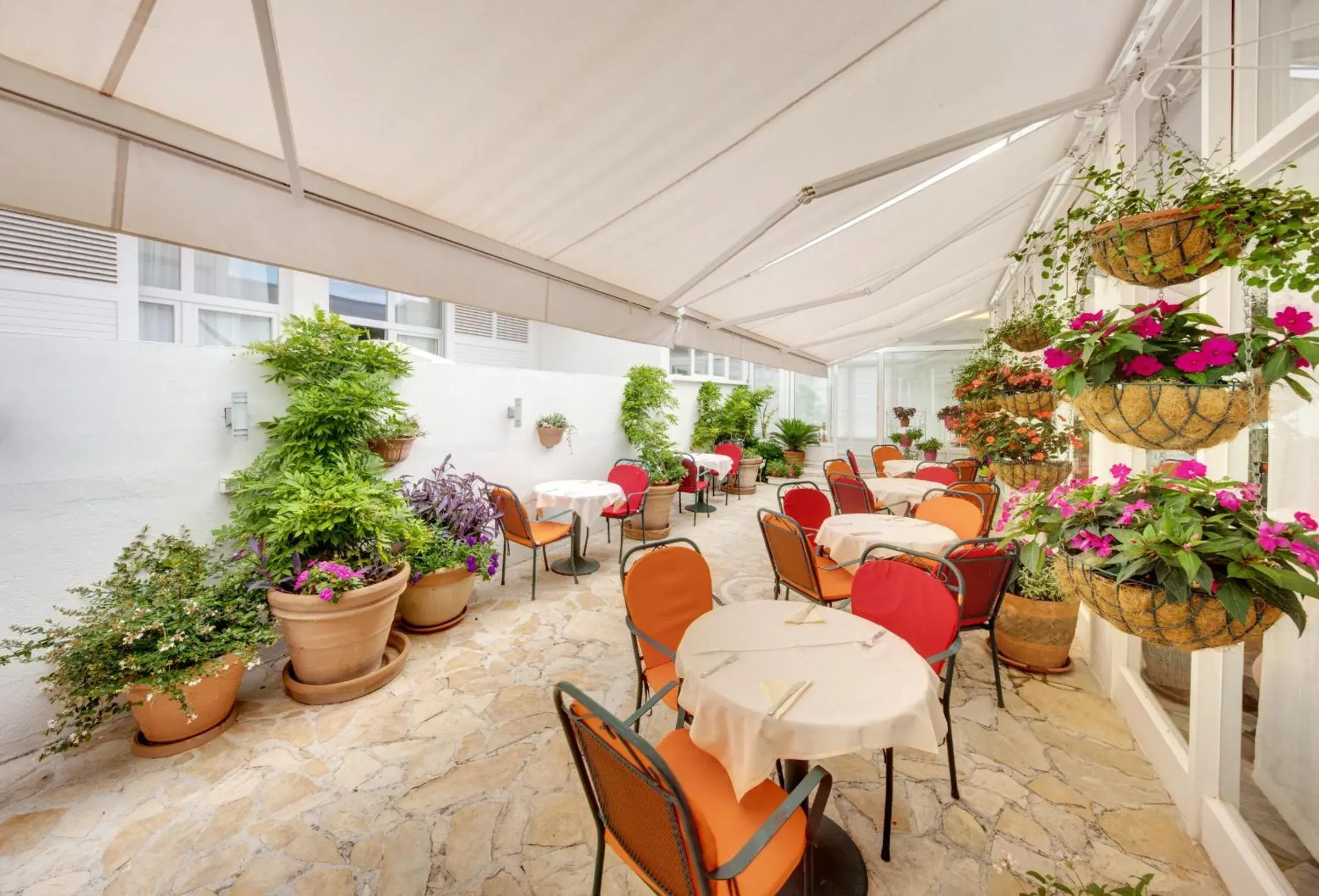 Restaurant/places to eat in Hotel Villa Adriatica - Adults Only Restaurant/places to eat in Hotel Villa Adriatica - Adults Only
