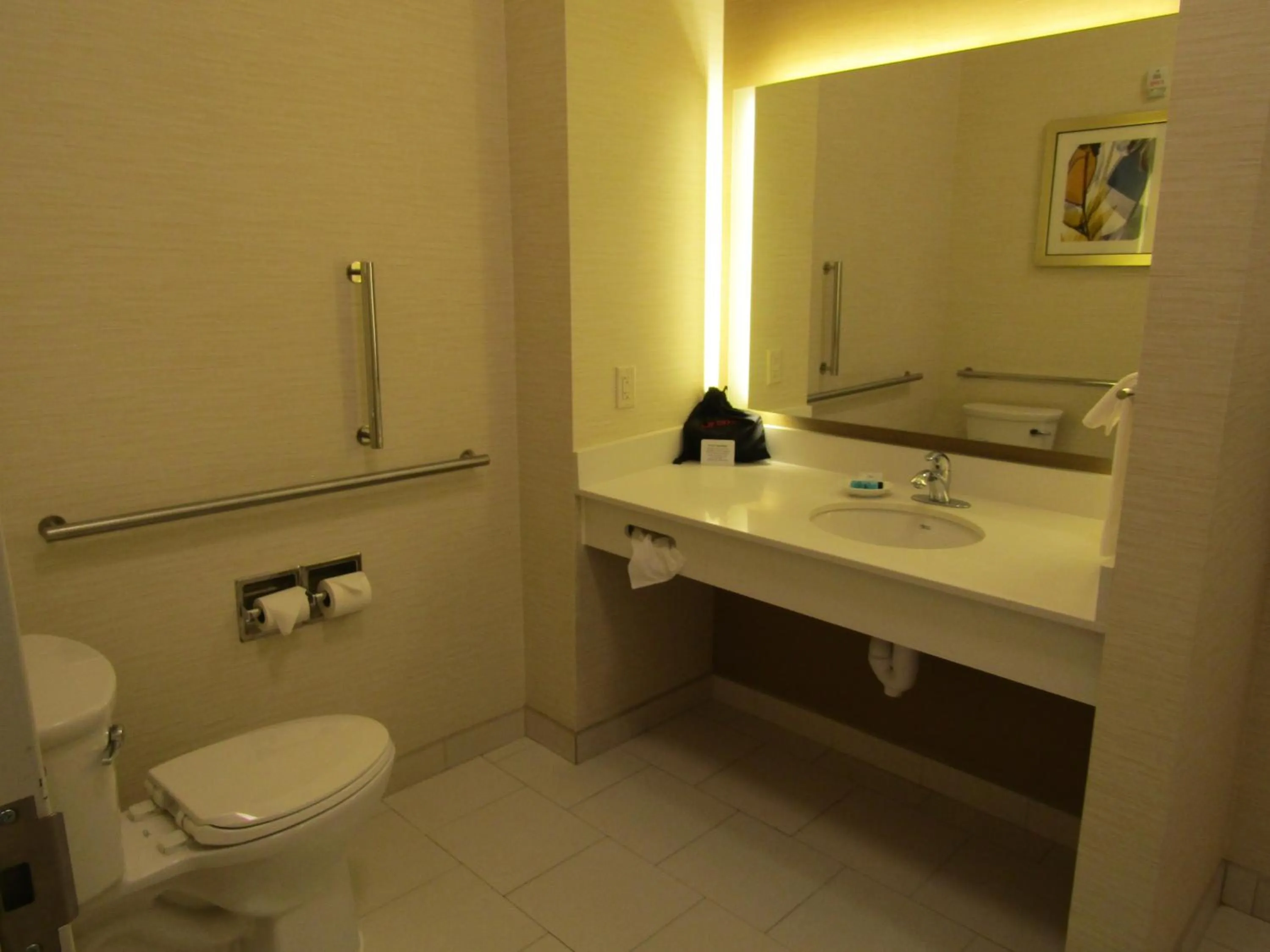 Bathroom in Fairfield Inn & Suites by Marriott Sidney
