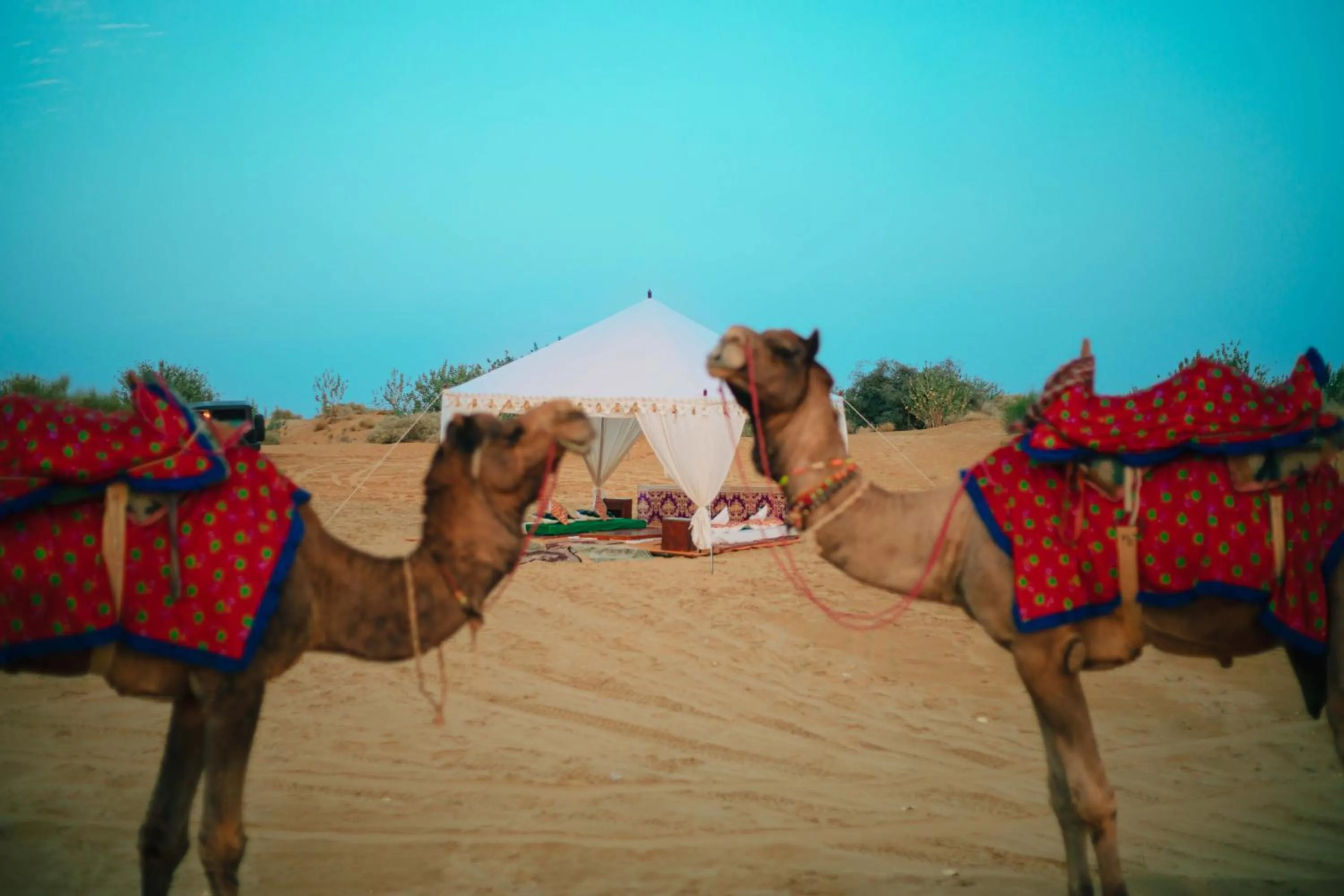 Activities in Jaisalmer Marriott Resort & Spa