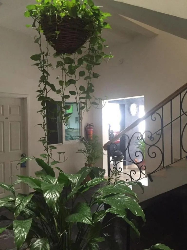 Decorative detail in Casa del Parque Vallarta