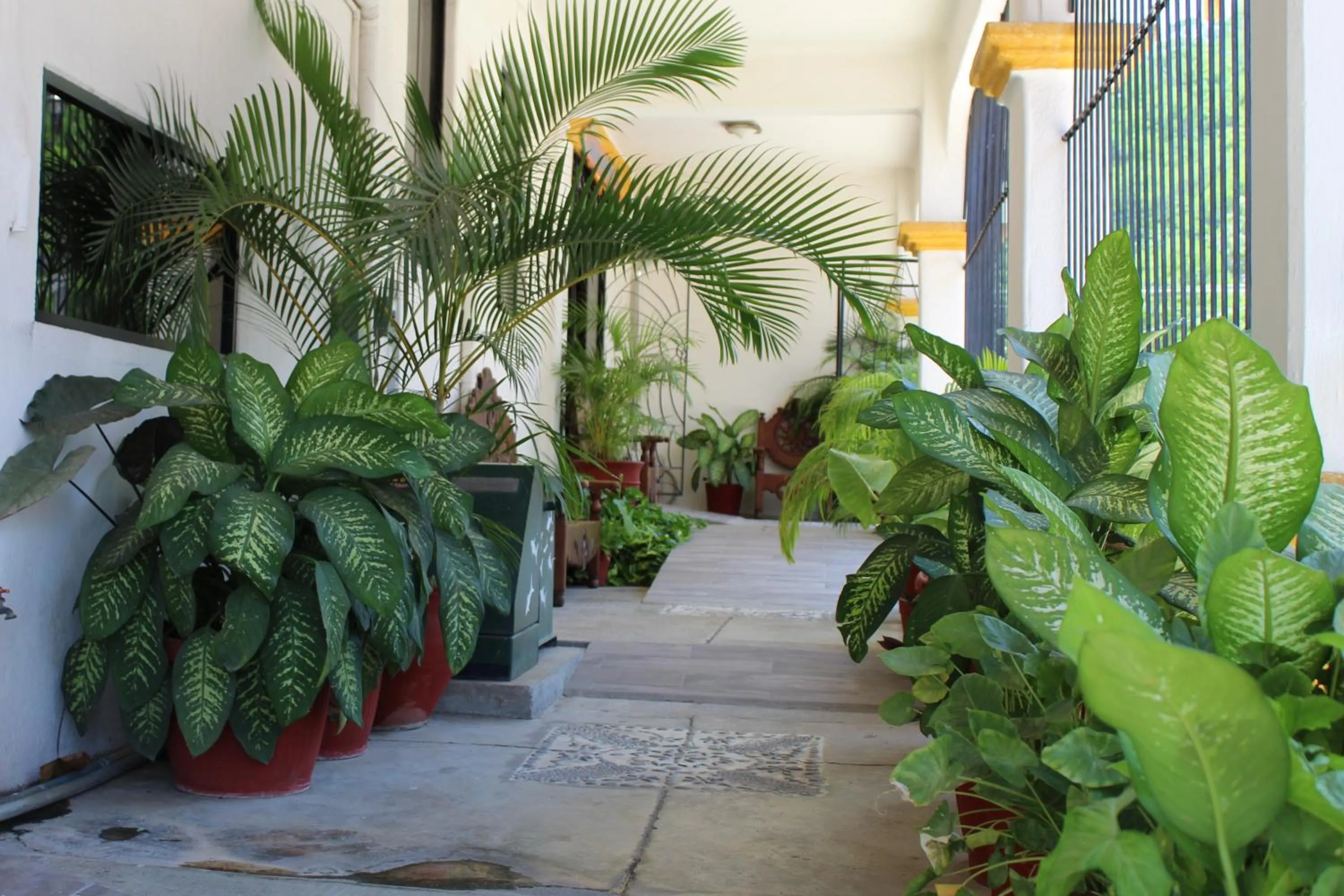 Facade/entrance in Hotel Arrecife Huatulco Plus