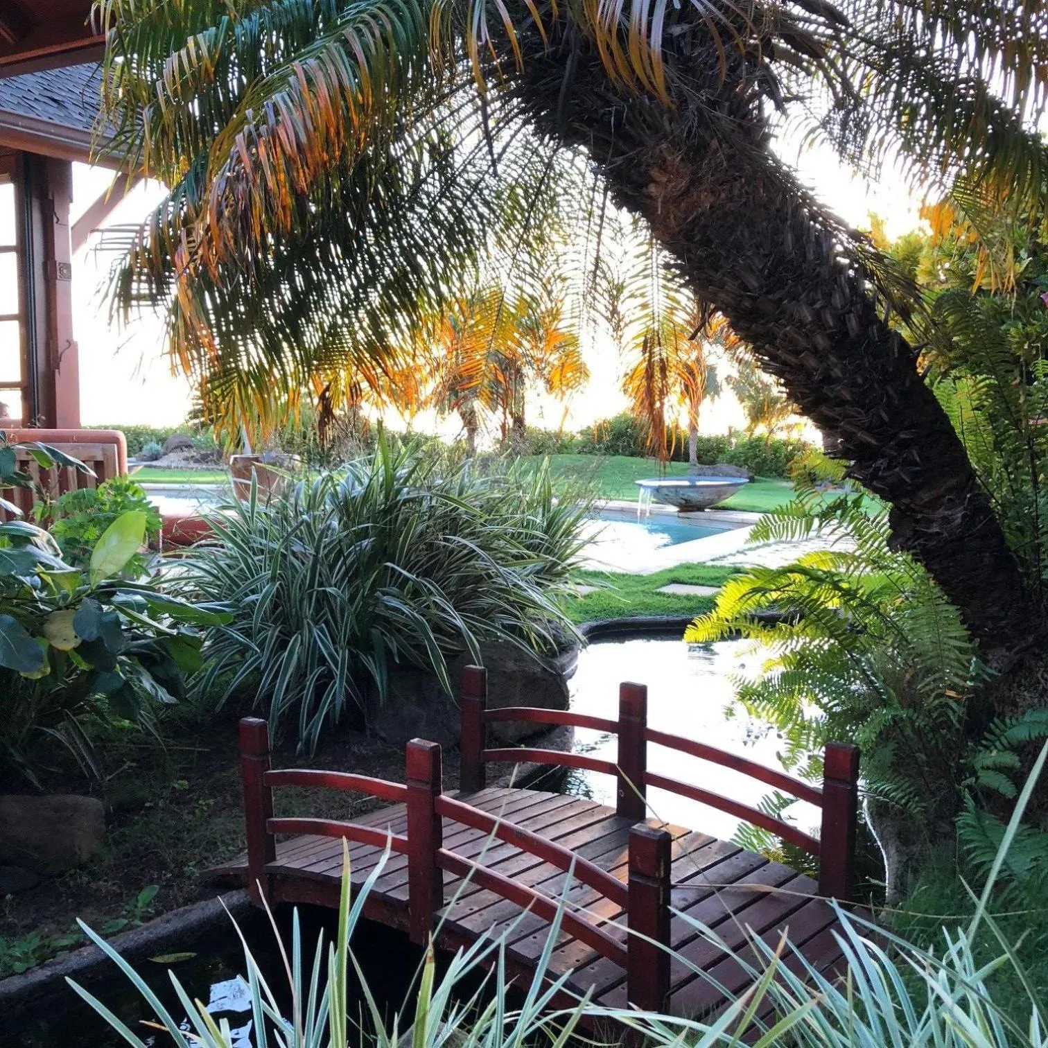 Garden in Ho'oilo House