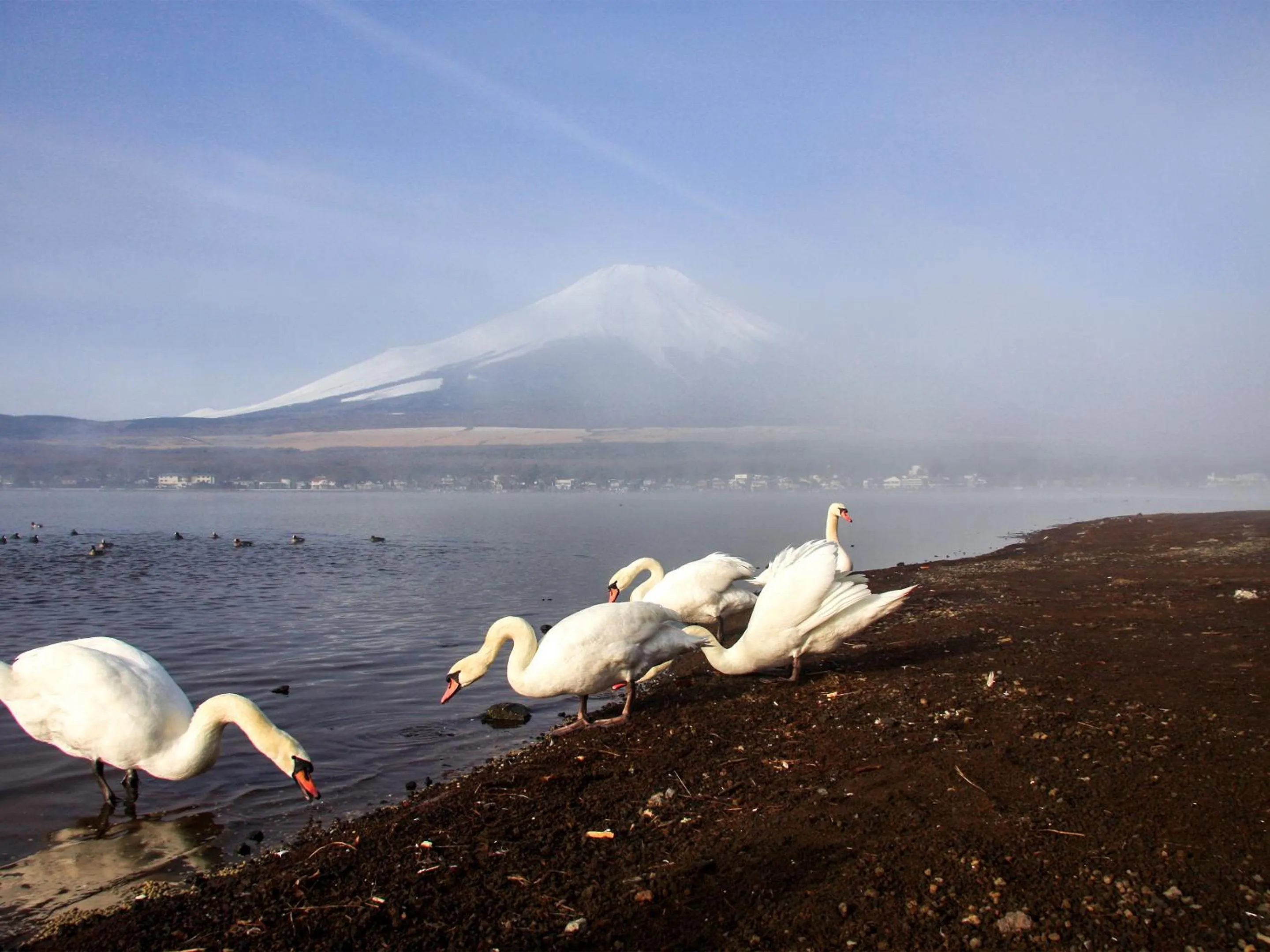 Nearby landmark in Yamanakako Pension Pause