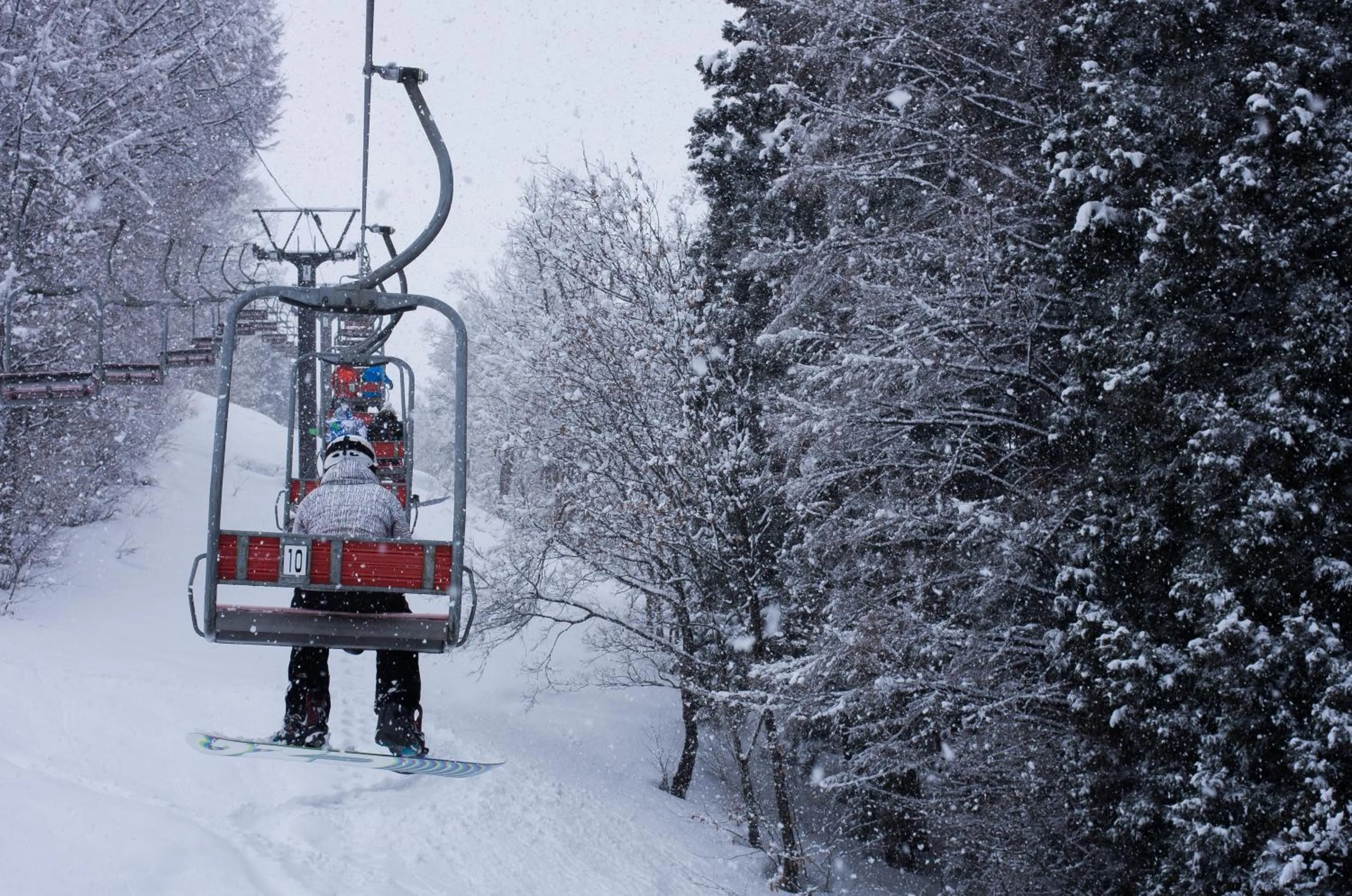 Day in Tanuki Nozawa