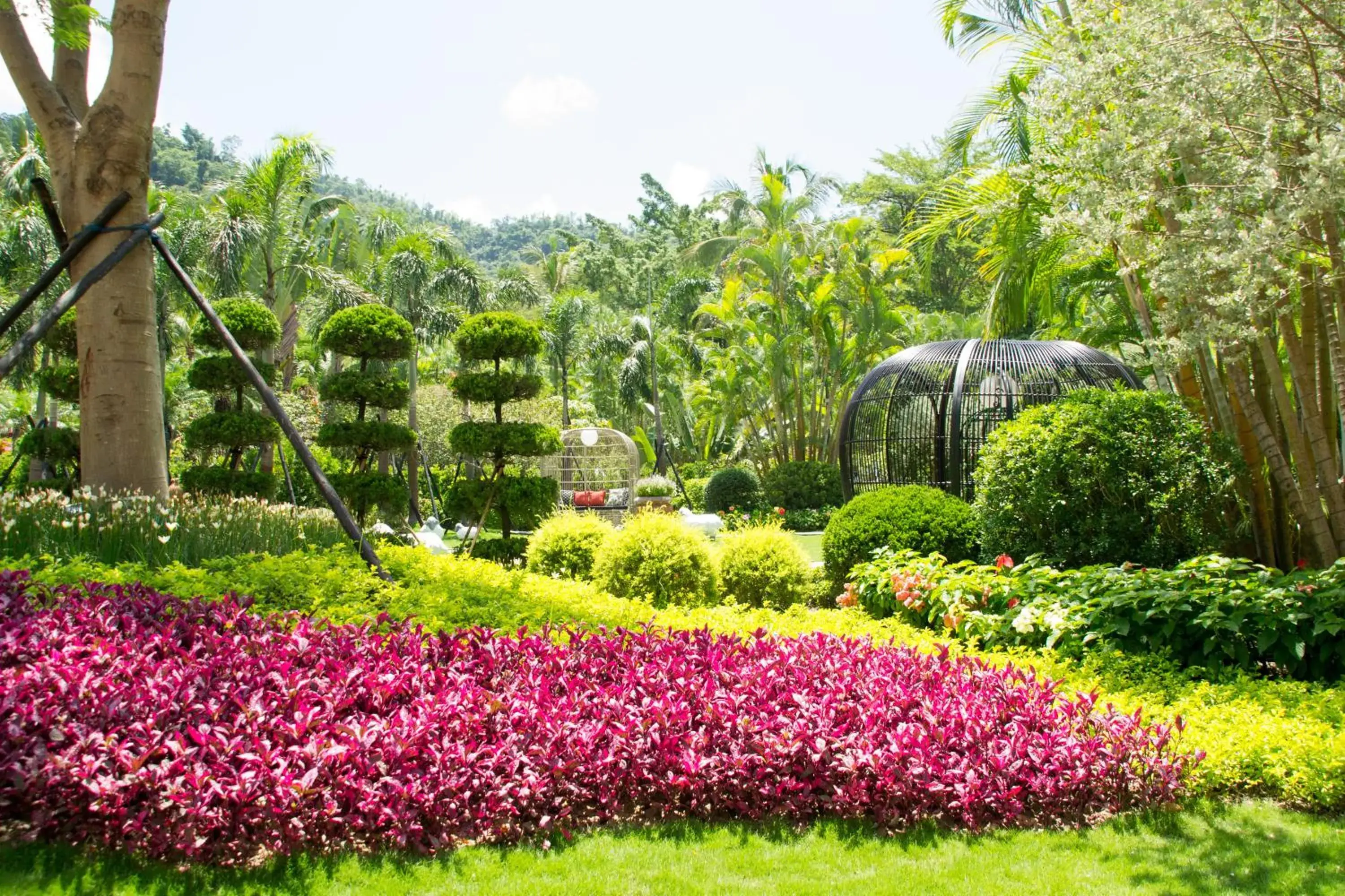 Garden in HOTEL CHAM CHAM