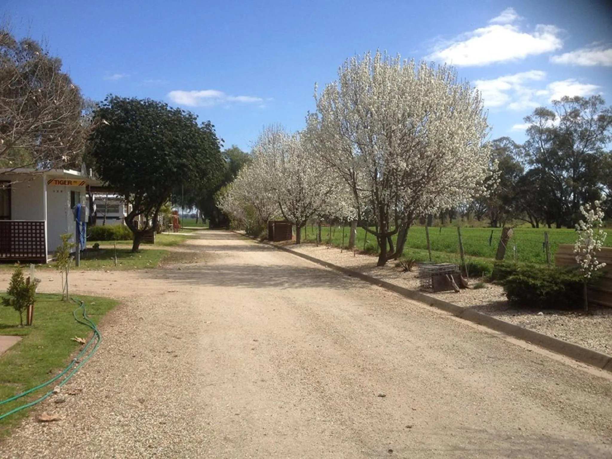 Garden in Nagambie Caravan Park & Motel