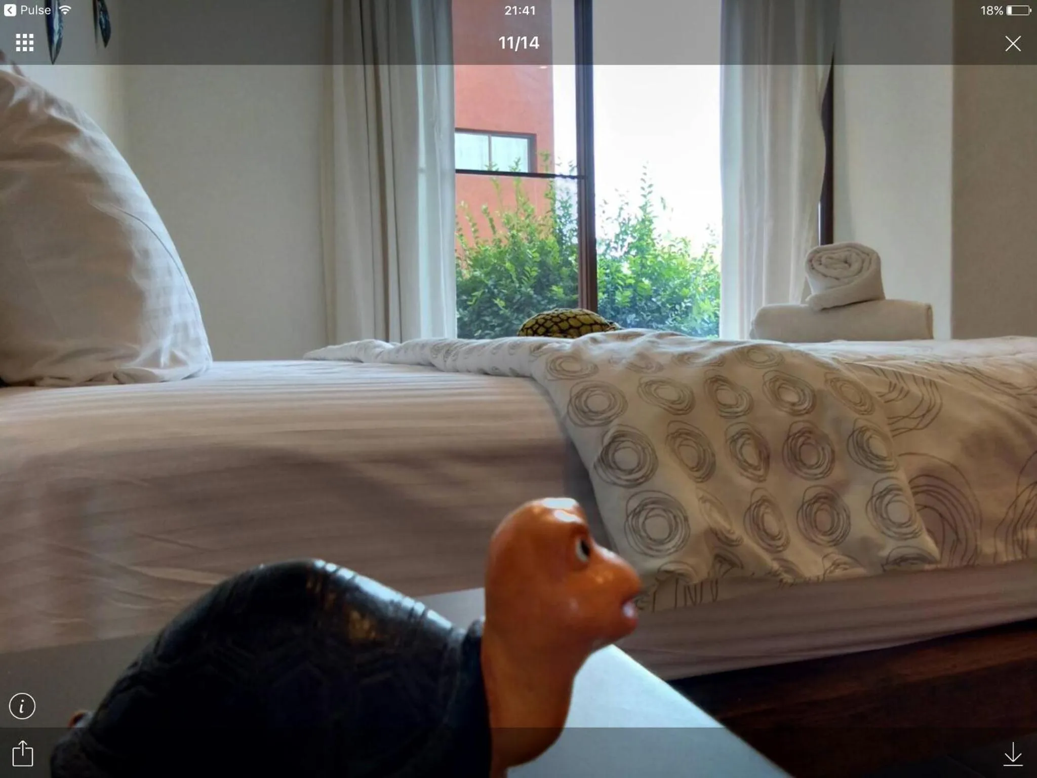 Away Las Tortugas at Hua Hin