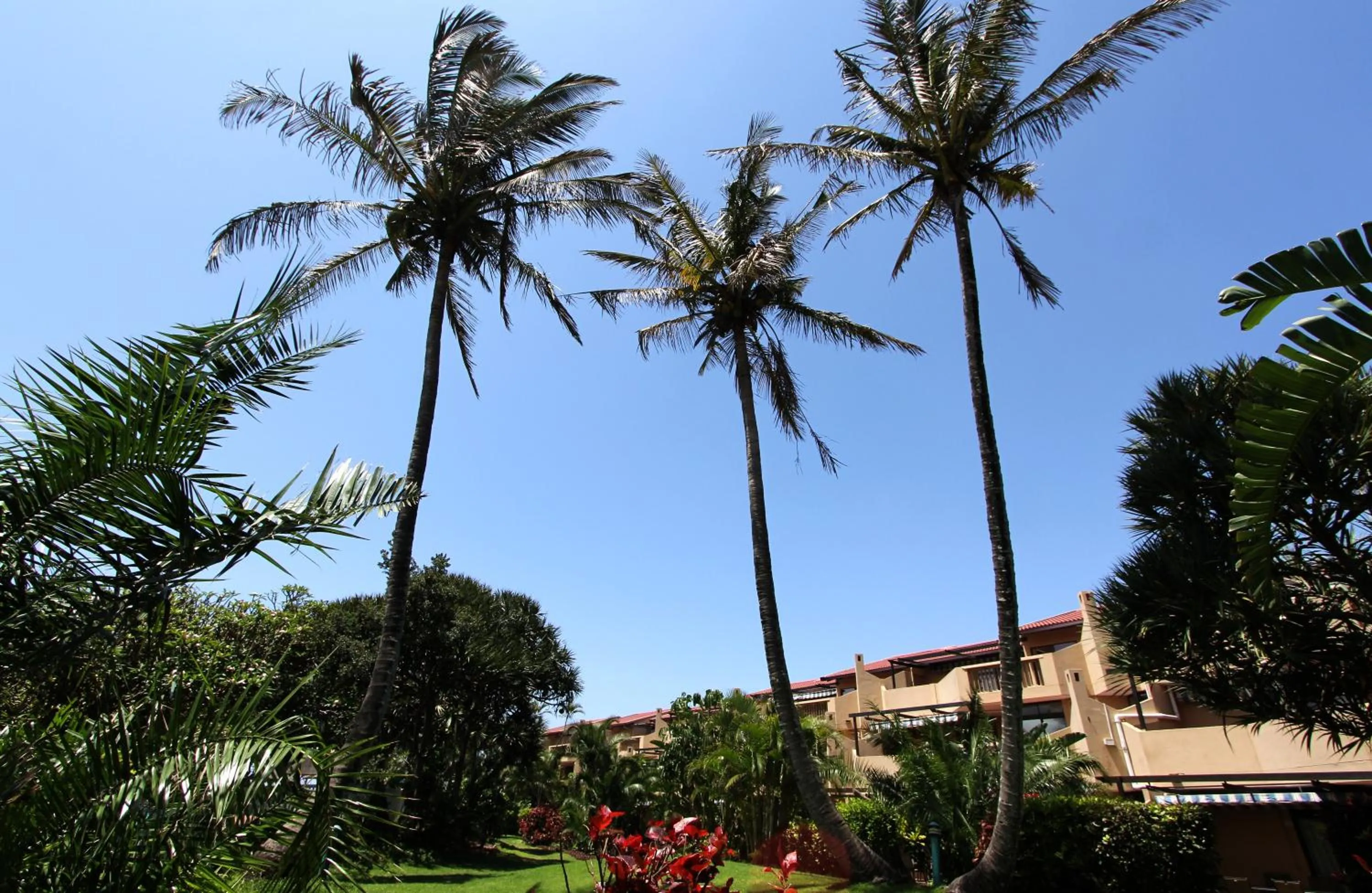 Garden view in La Lucia Sands Beach Resort