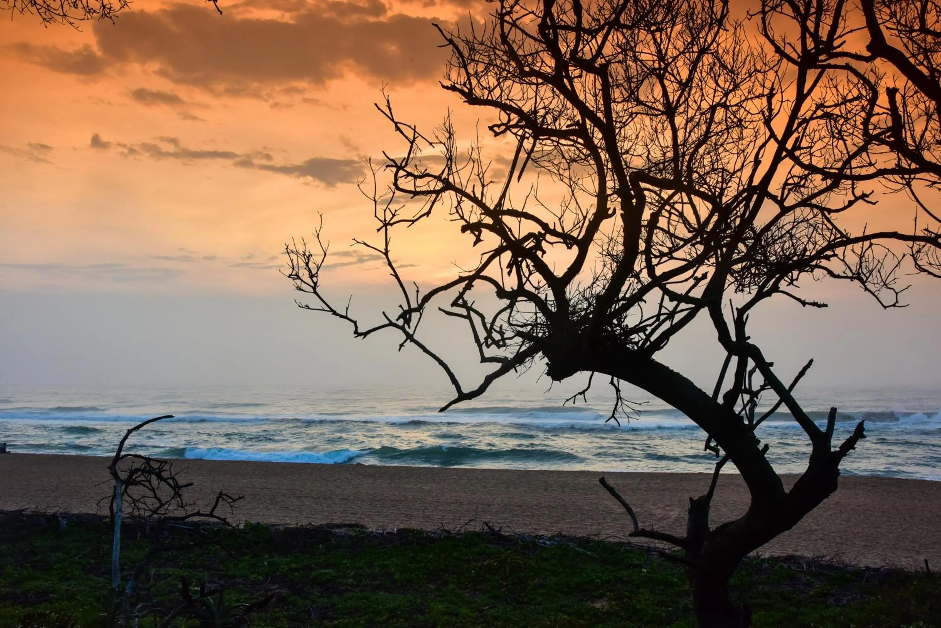 View (from property/room) in La Lucia Sands Beach Resort