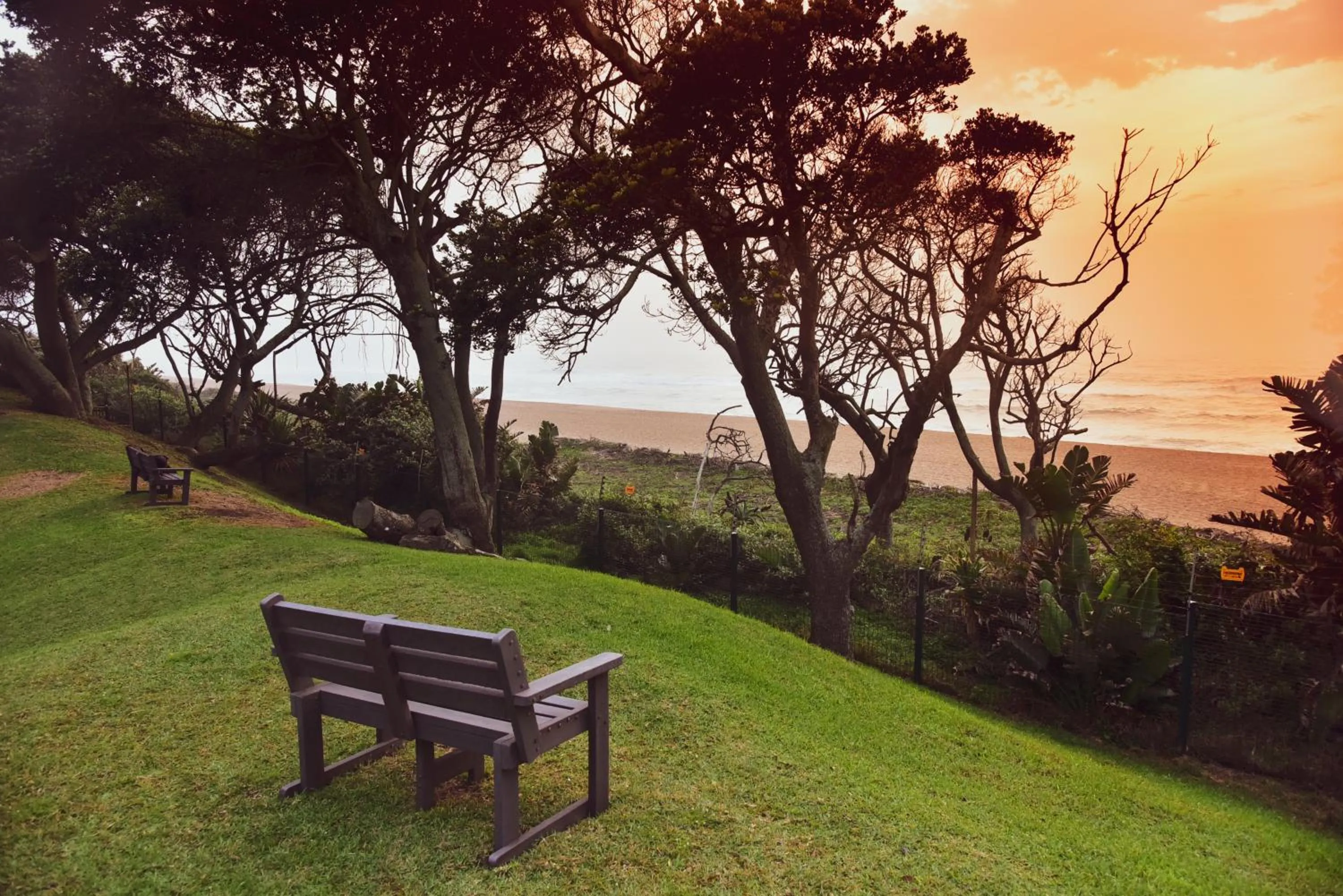 View (from property/room) in La Lucia Sands Beach Resort