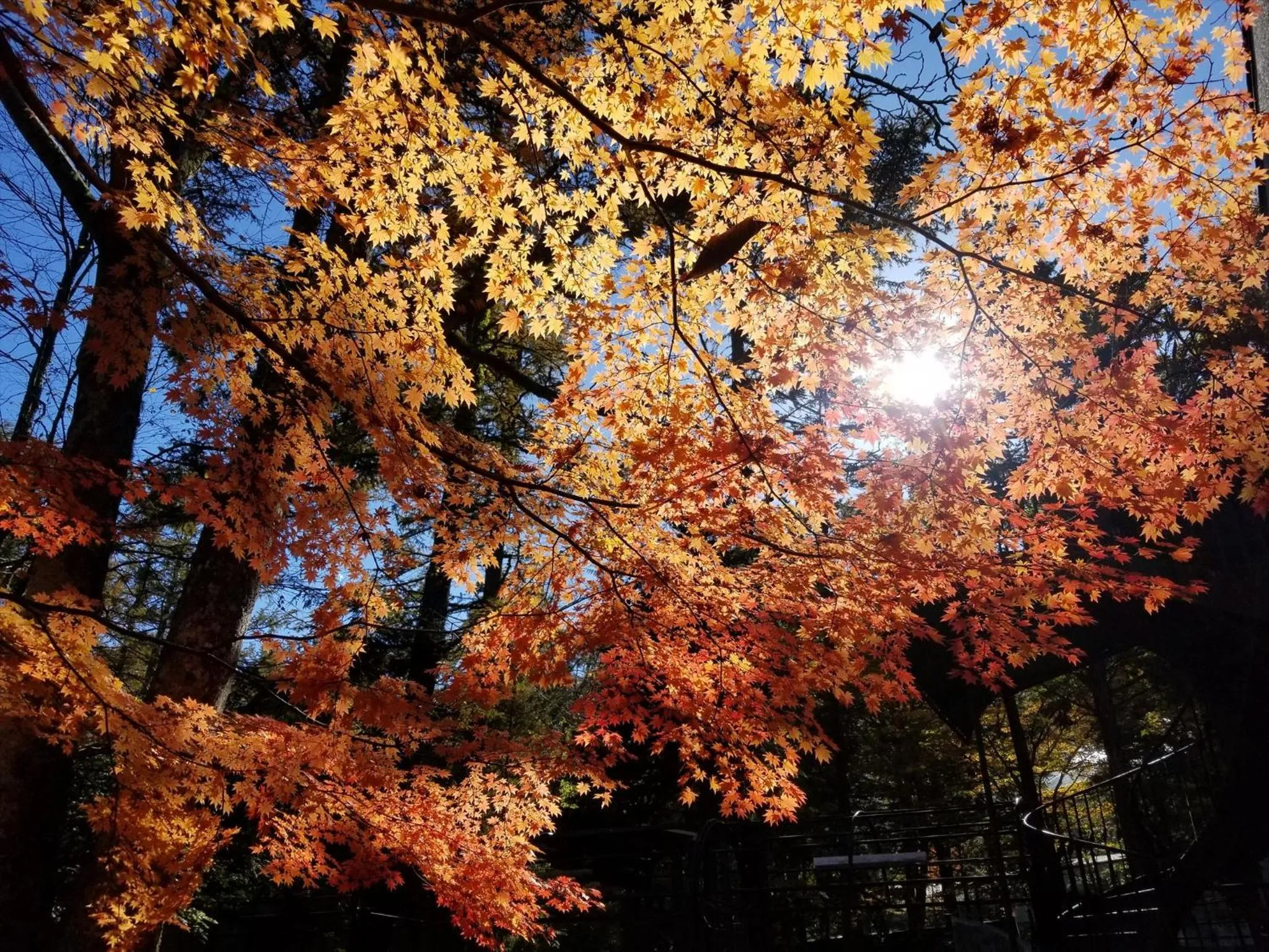 Natural landscape in Yamanakako-Asahigaoka-Onsen Hotel Seikei