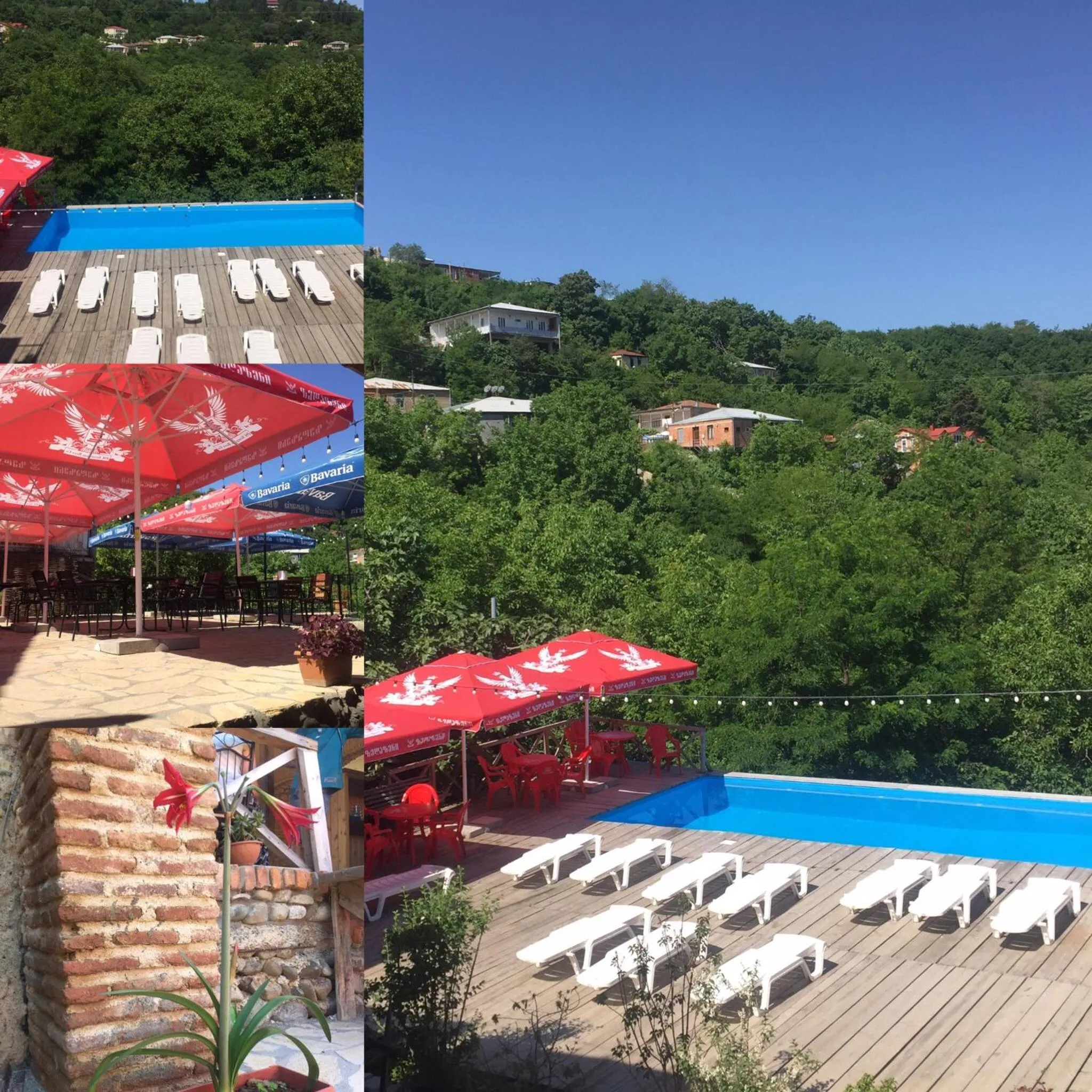 Garden in Guest House Marani