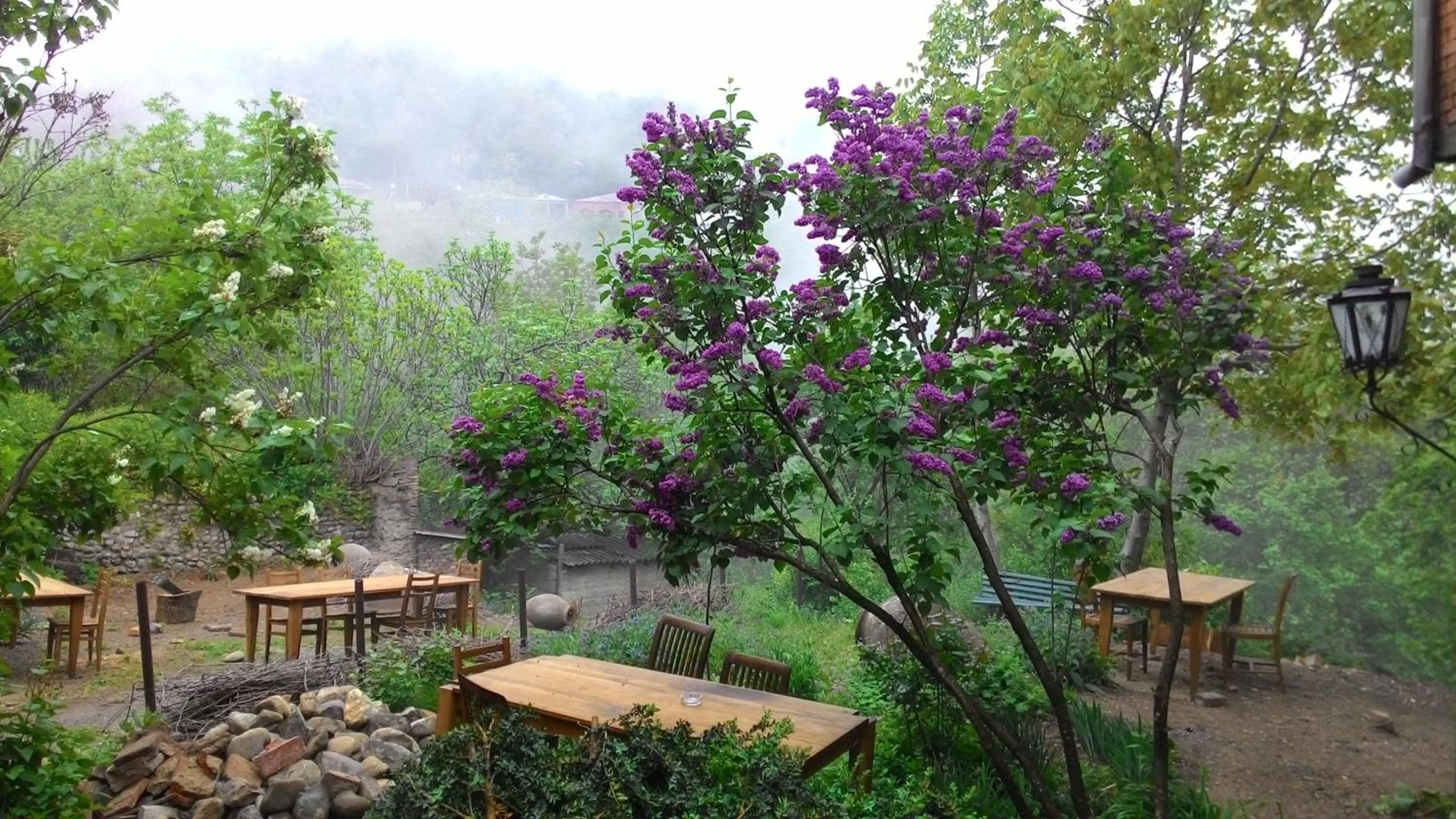 Property building in Guest House Marani