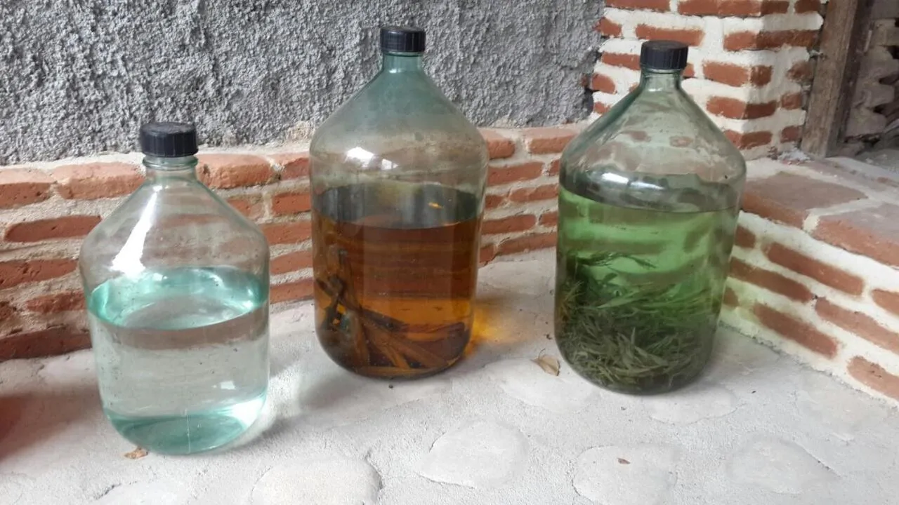 Alcoholic drinks in Guest House Marani