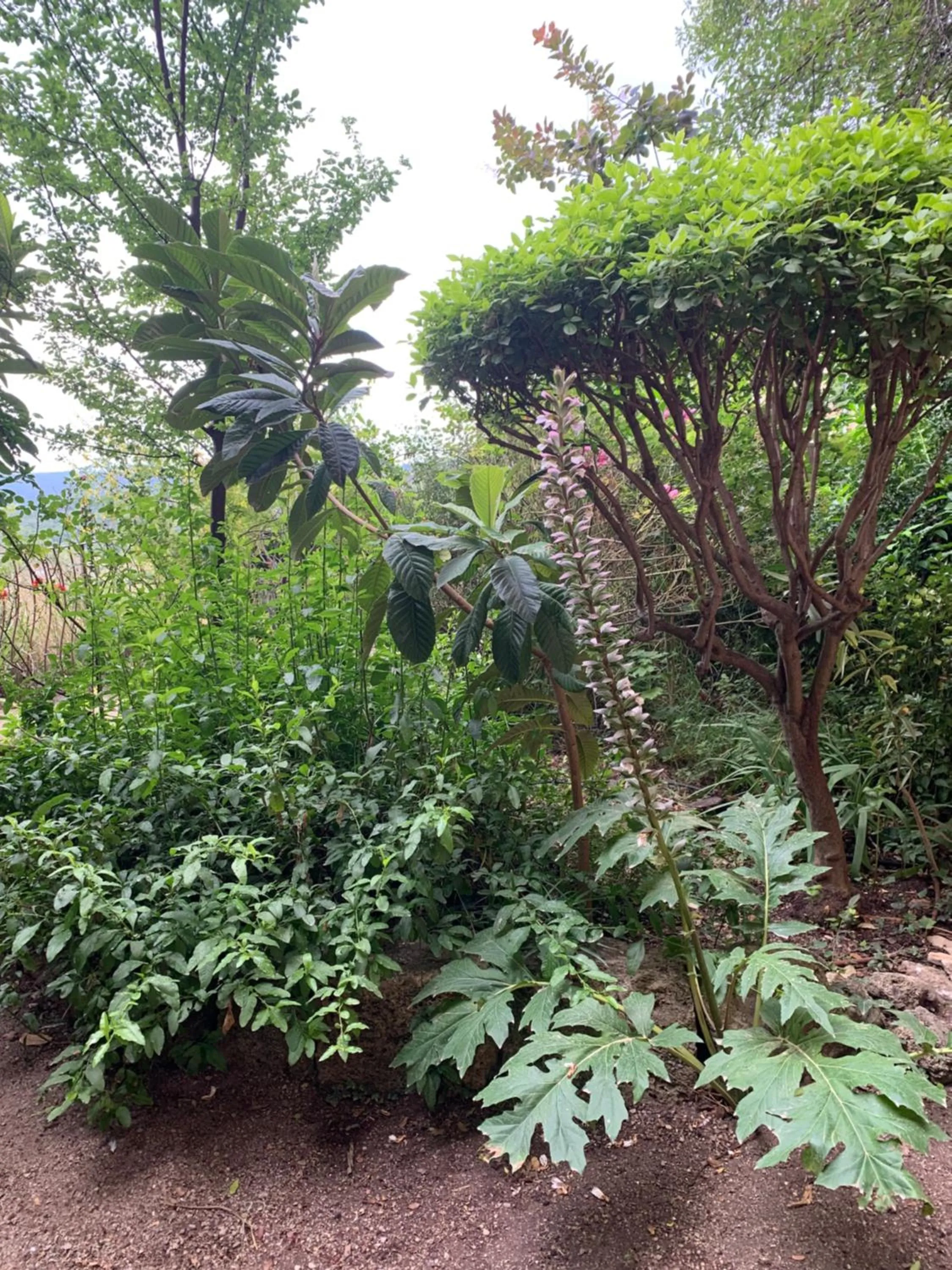 Natural landscape in Tivoli en Provence