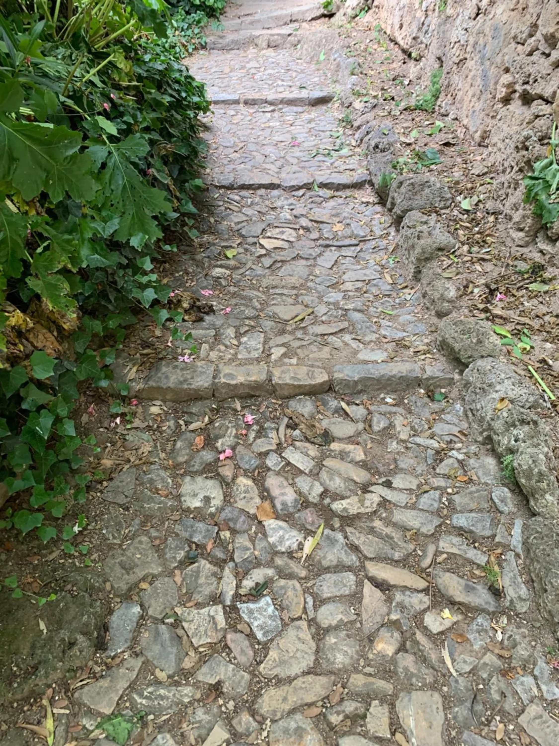 Spring in Tivoli en Provence