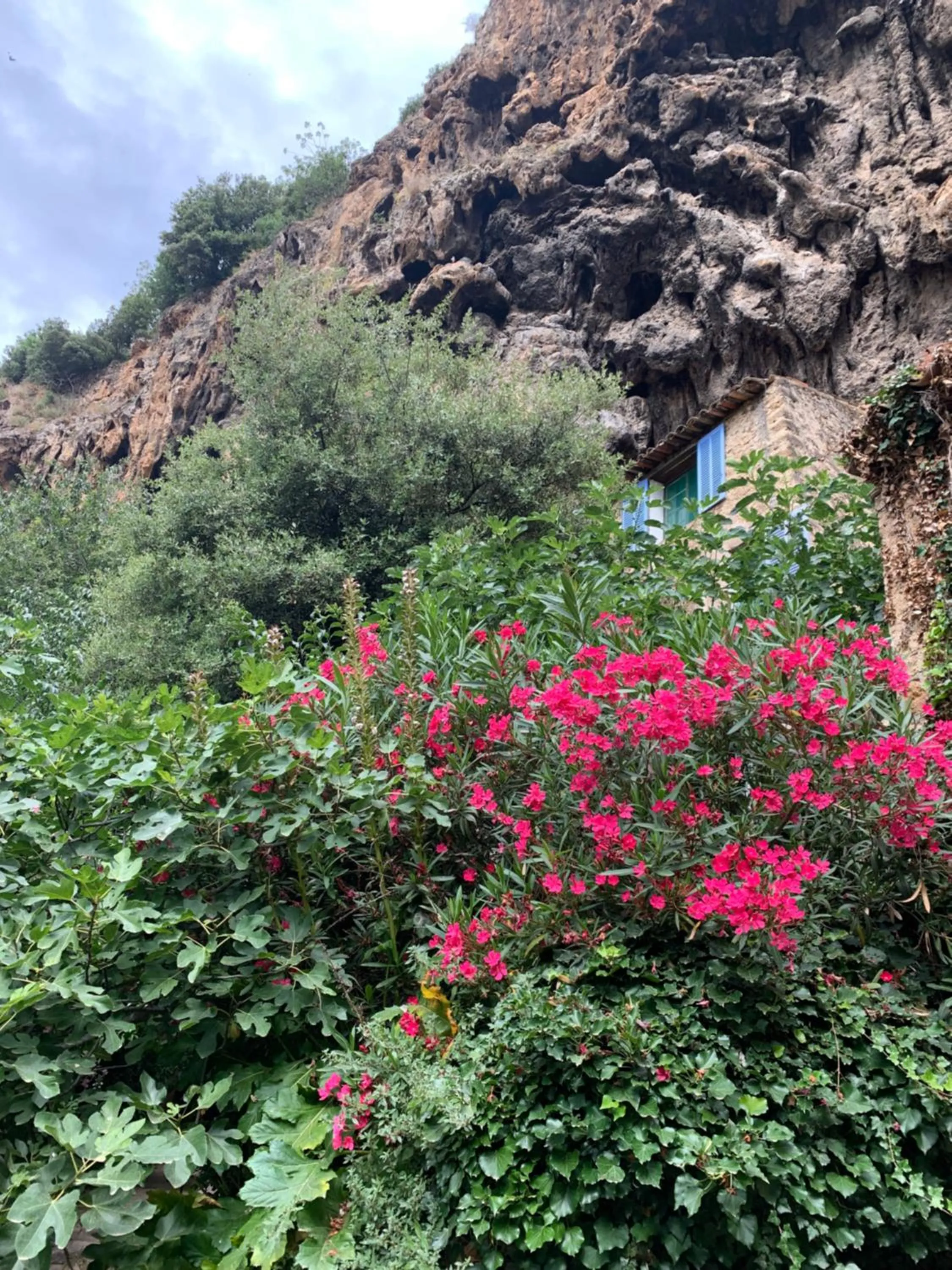 Natural landscape in Tivoli en Provence