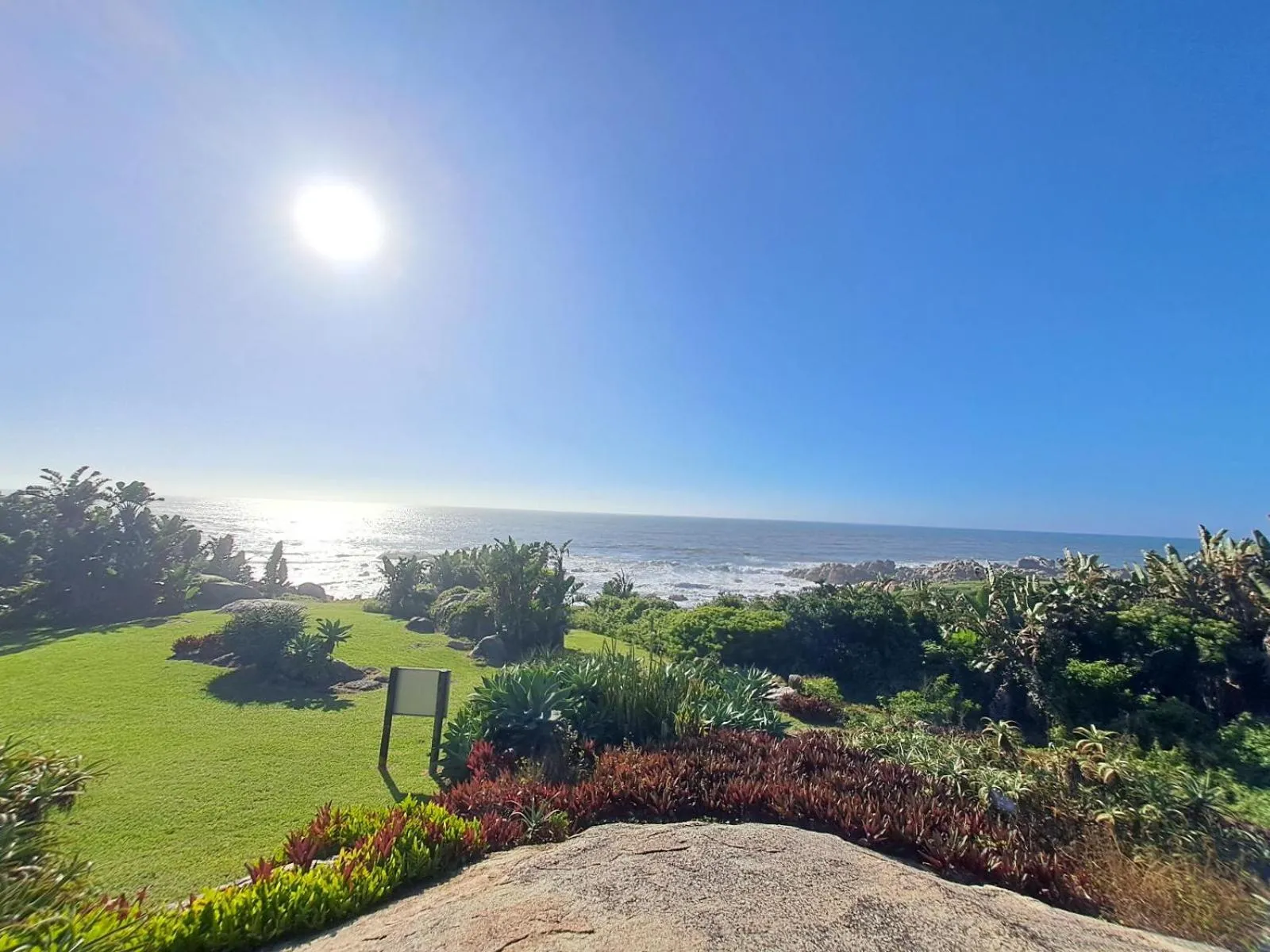 Garden in Secret Sands Glenmore Beach